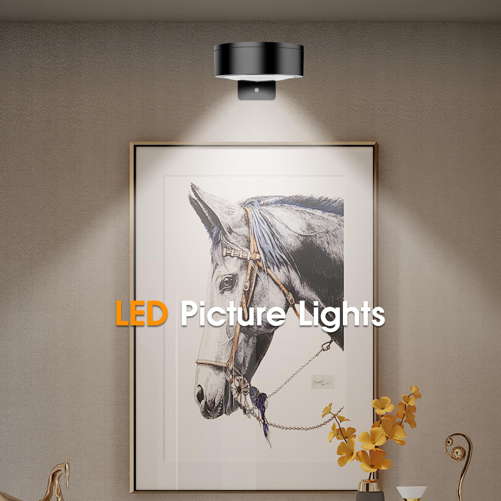SIXDEFLY Picture Lights, Battery Operated LED Art Display Light, 3 Lighting Modes, 6 Pack, Black, Remote Control, Dimmable, Timer