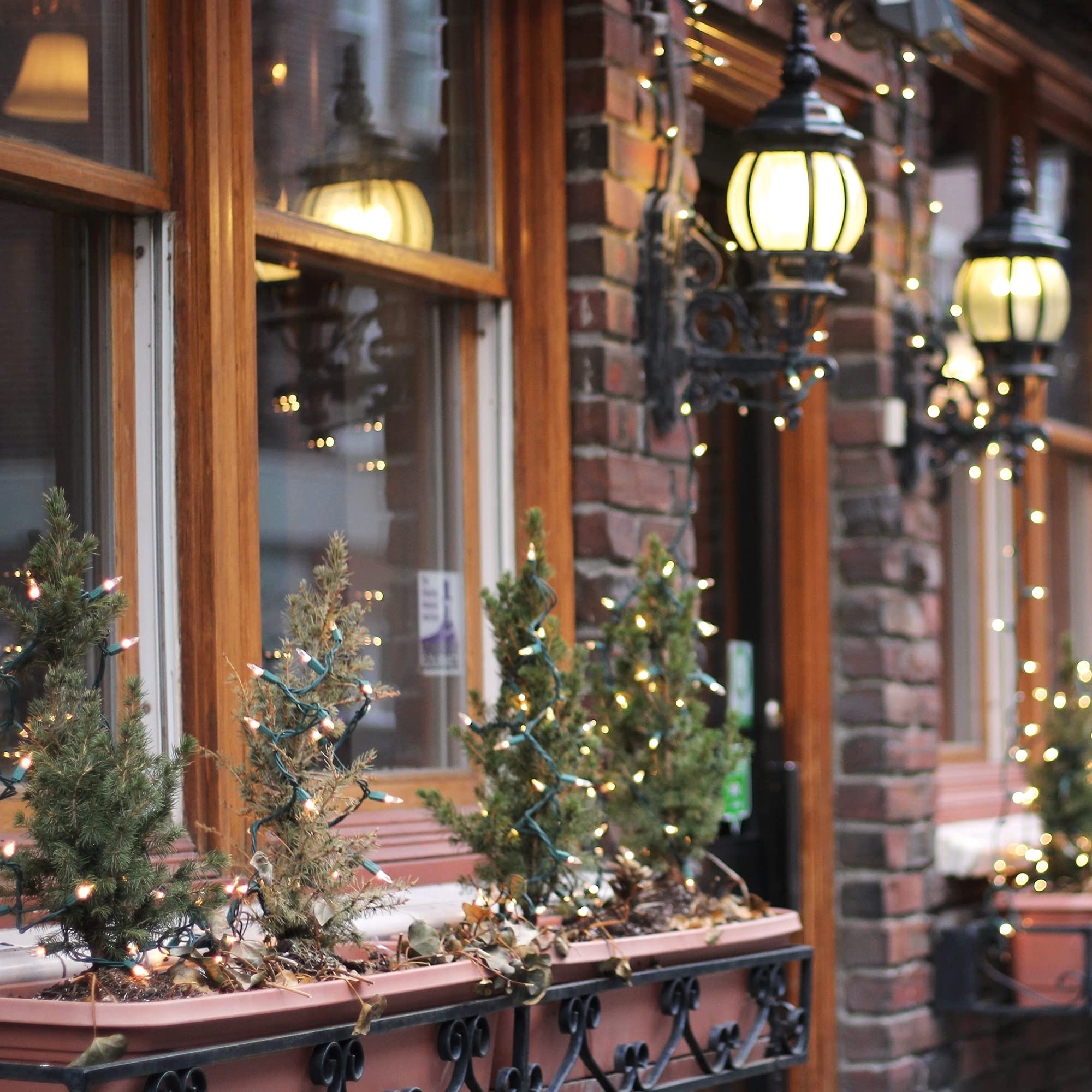 Northlight 50 Count Clear Mini Christmas Lights, 10 ft Green Wire, Glass, Model 5-25/1F/B-033