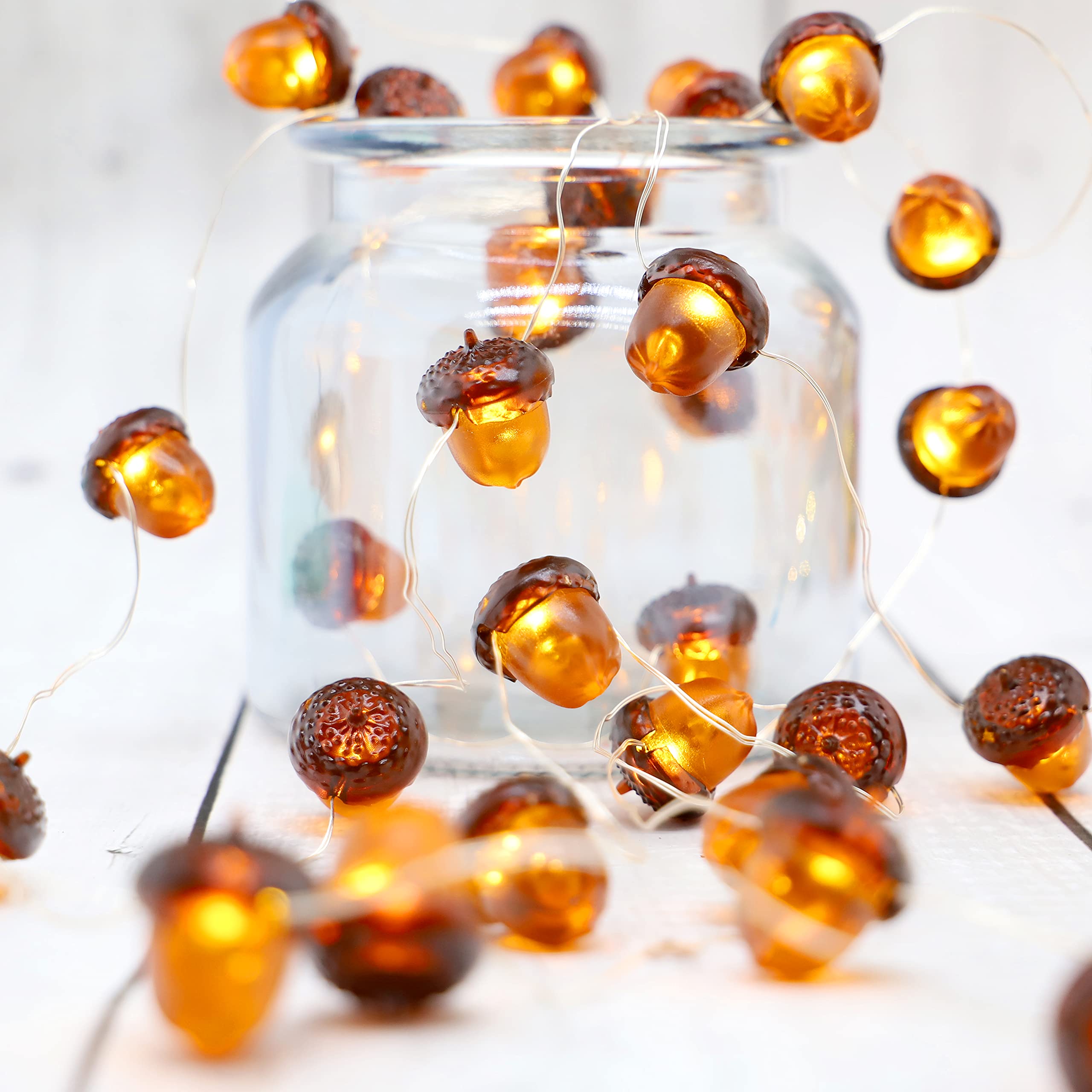 Miya Life Fall Fairy Lights Cute String Lights With Thanksgiving Decor Fall Garland With Lights Battery Operated For Fall Lights Indoor Decoration (Acorn Fairy)
