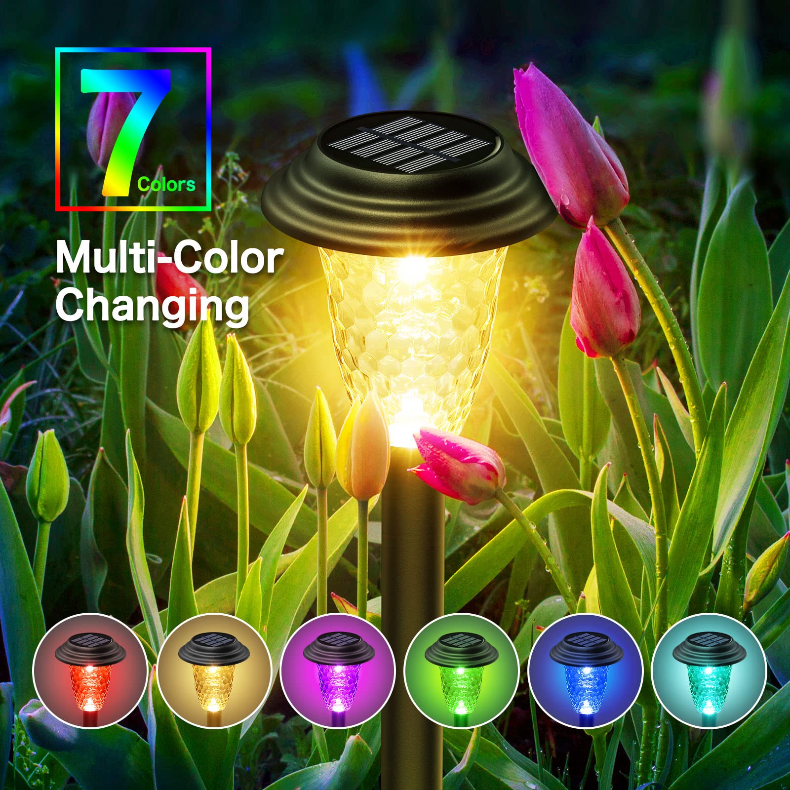 Ensli 8 Pack Solar Pathway Lights - Color Changing & Warm White, Waterproof Garden Lights