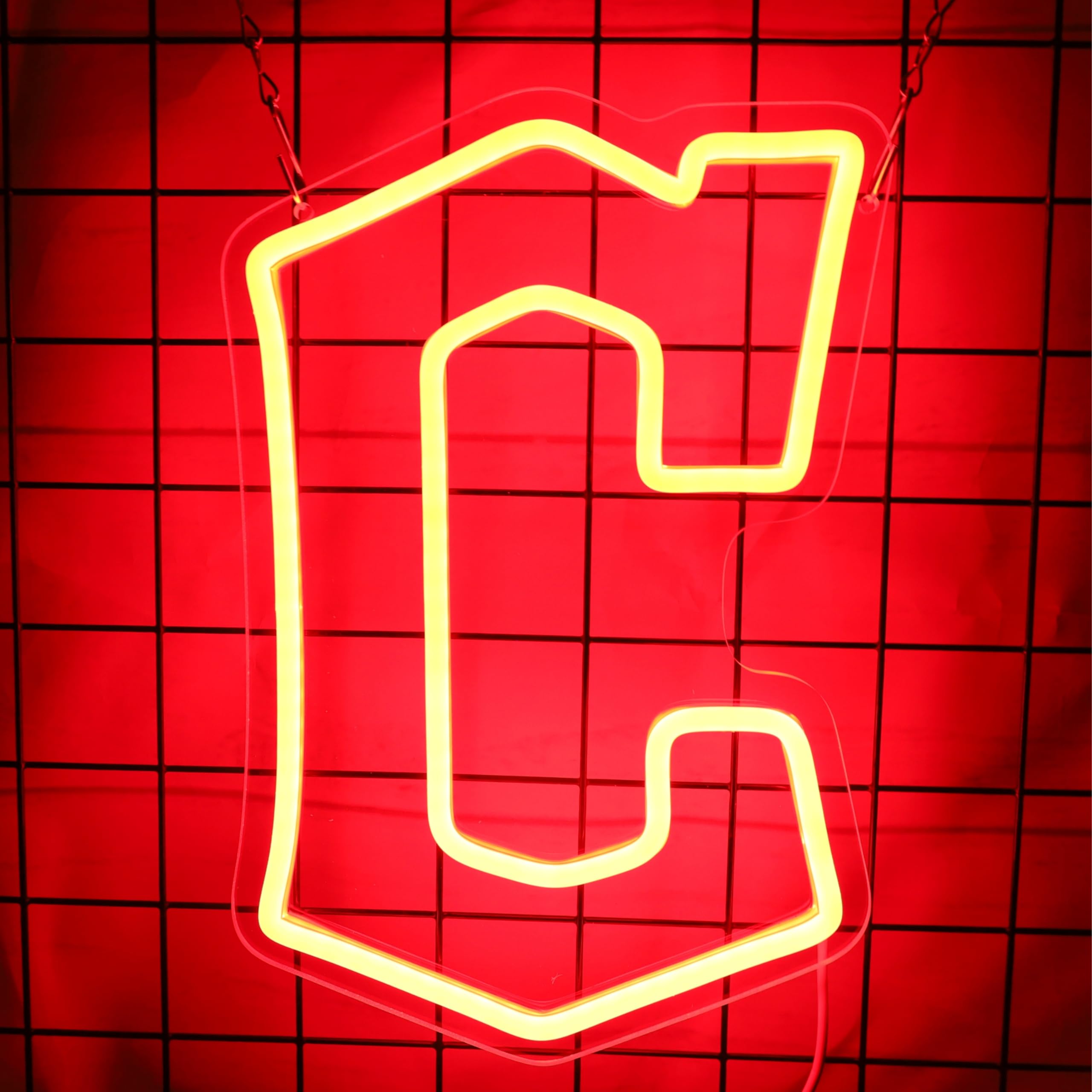 SHINEMYWAY Neon Sign for Room Decor