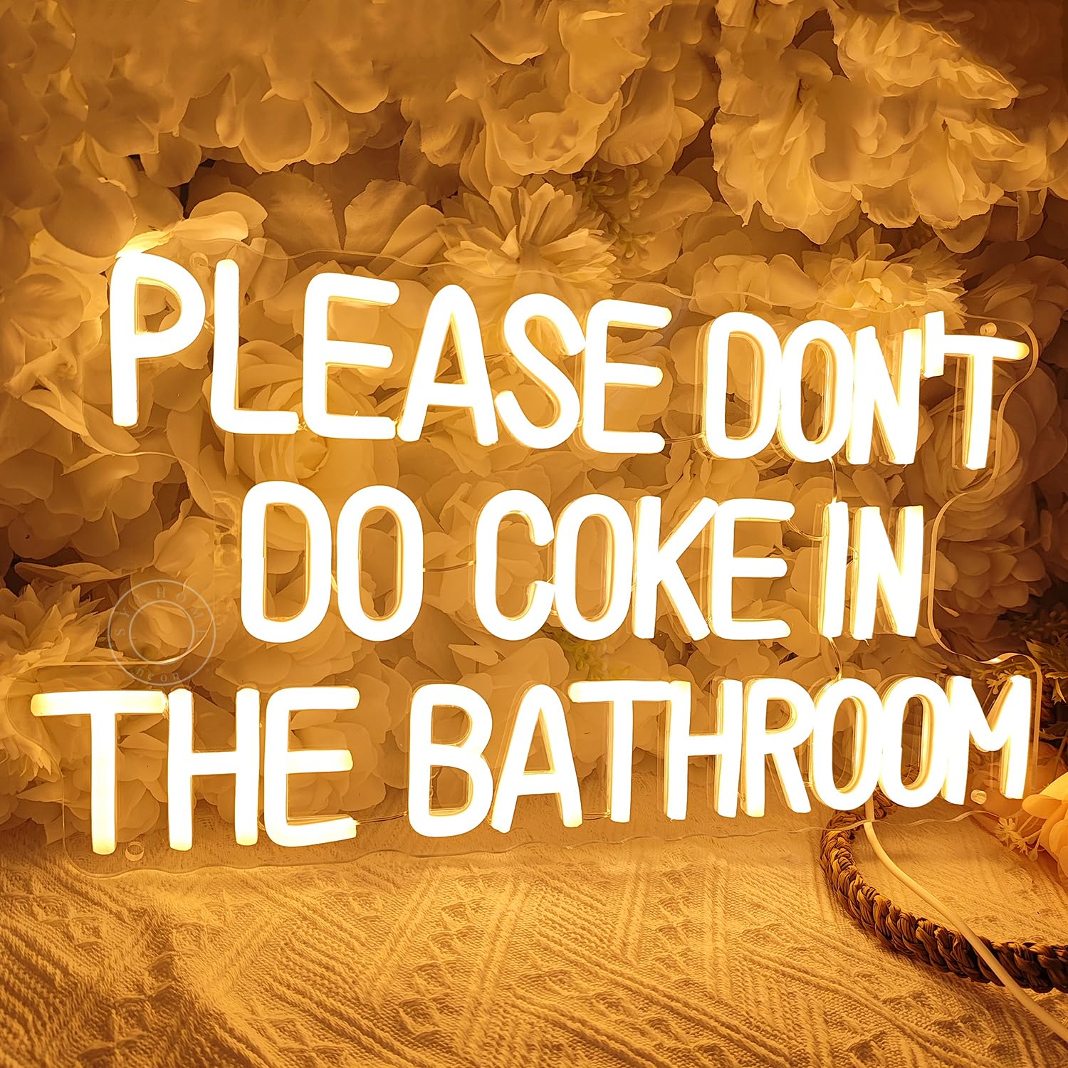 Sylhome Please DonT Do Coke In The Bathroom Game Room Bedroom Bar Store Wall Decor Sign Birthday Christmas Party Backdrop Gifts Usb 16.9X9.2 Warm