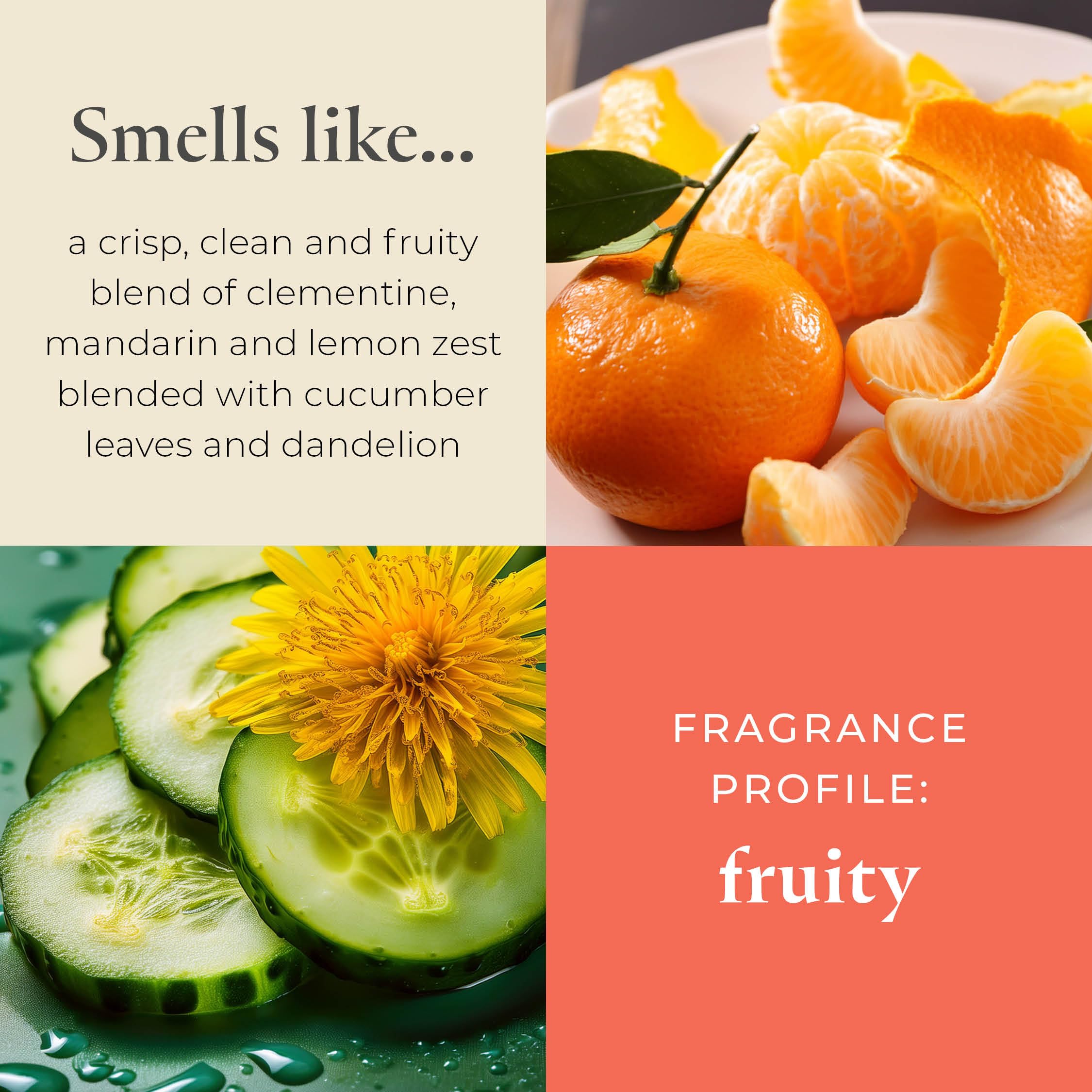 Partylite Set Of 12 Tea Lights Candles  Cucumber & Clementine Scent  Aromatherapy Scented Candles Gift Set  Up To 4 To 6 Hours Burn Time