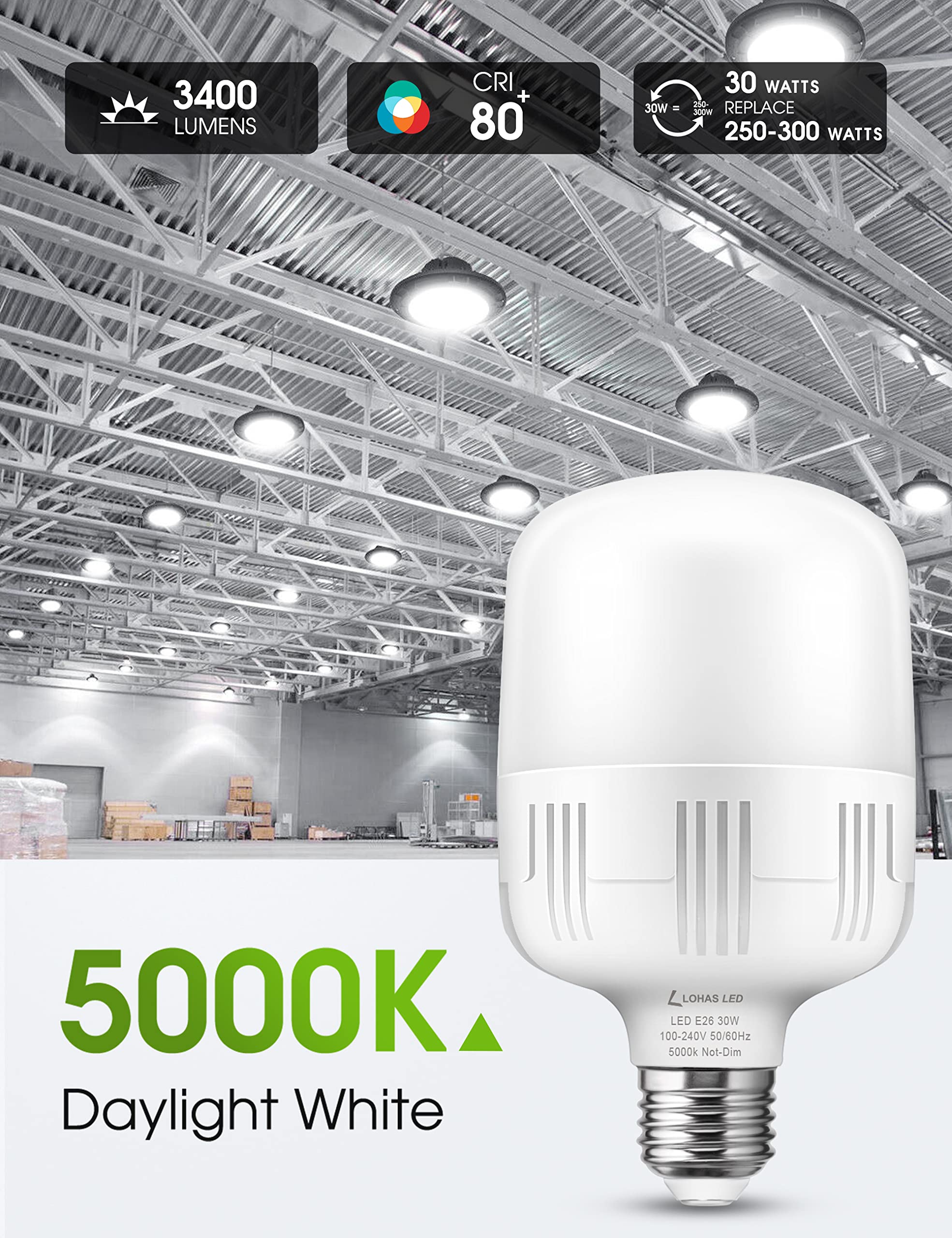 L LOHAS LED Super Bright 30W LED Bulbs, 250-300W Equivalent, 3400LM, Daylight White, E26/E39 Adapter, 2 Pack