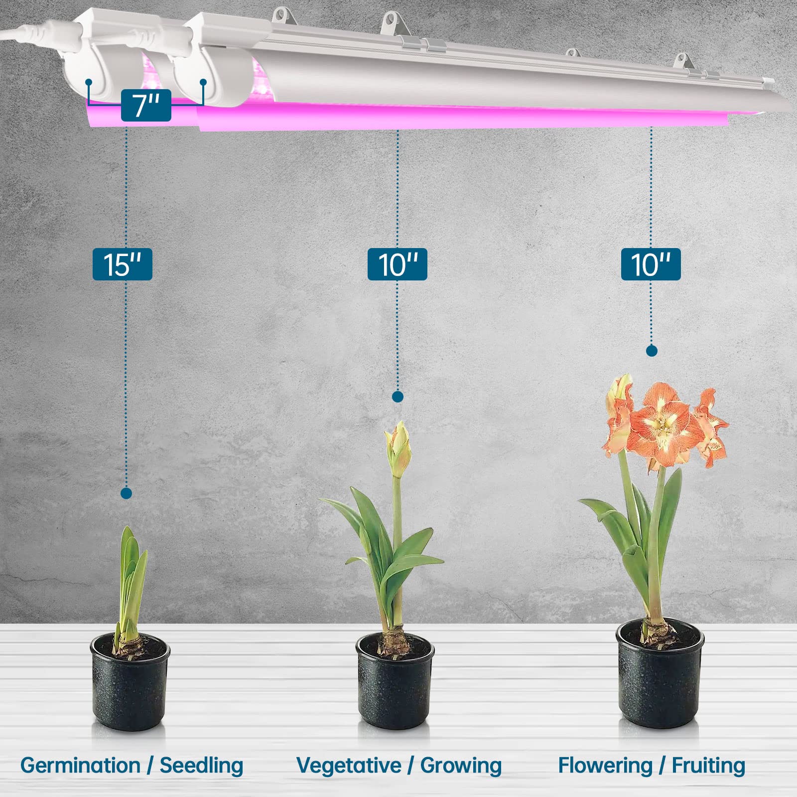 Barrina LED Grow Lights T8 2FT 96W Full Spectrum V-Shape Reflector Combo 4-Pack Pink Model INWT80240665Hc