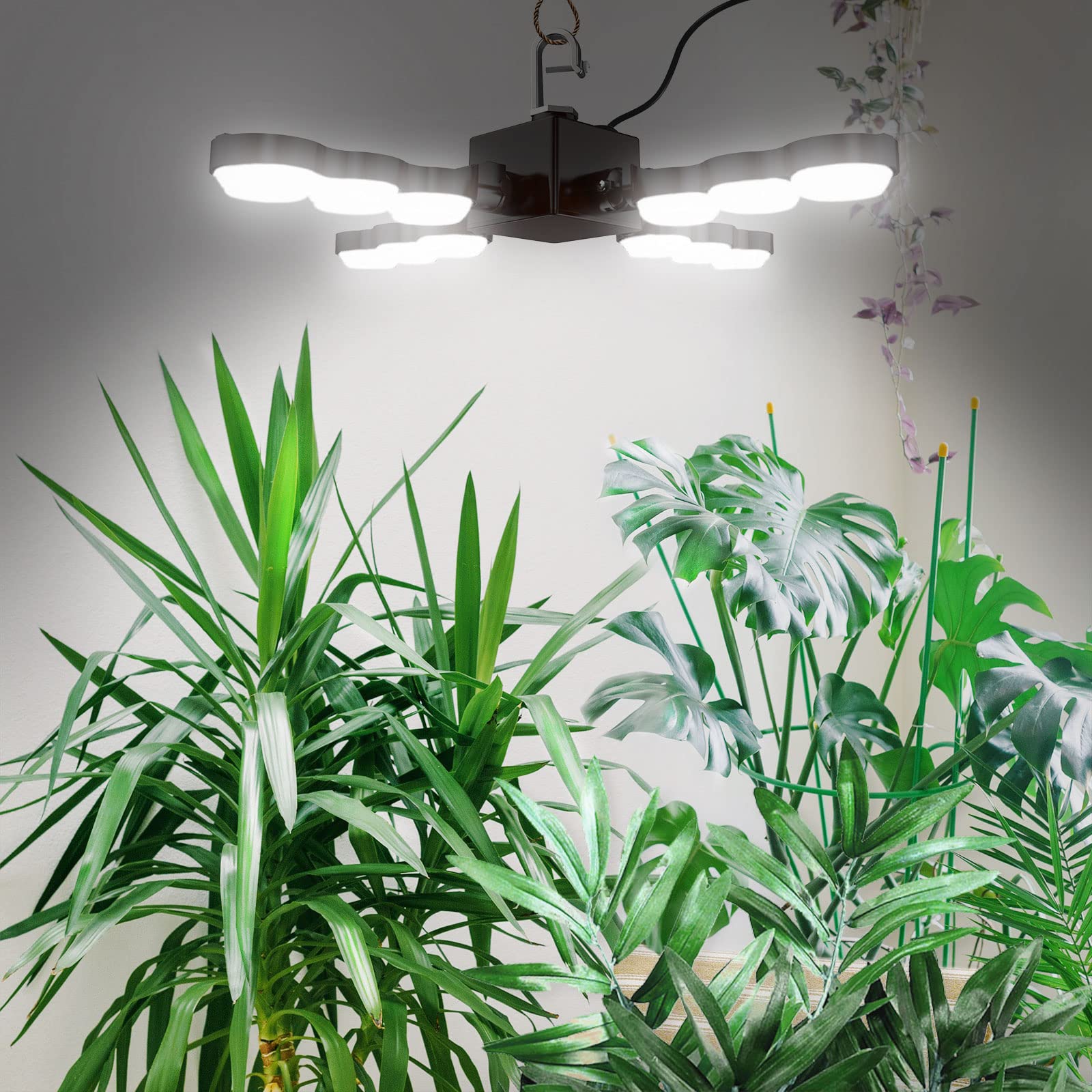 SANSI LED Grow Light, Full Spectrum 60W Plant Lamp, Ceramic, Black, Model C21FS-BE26-60W