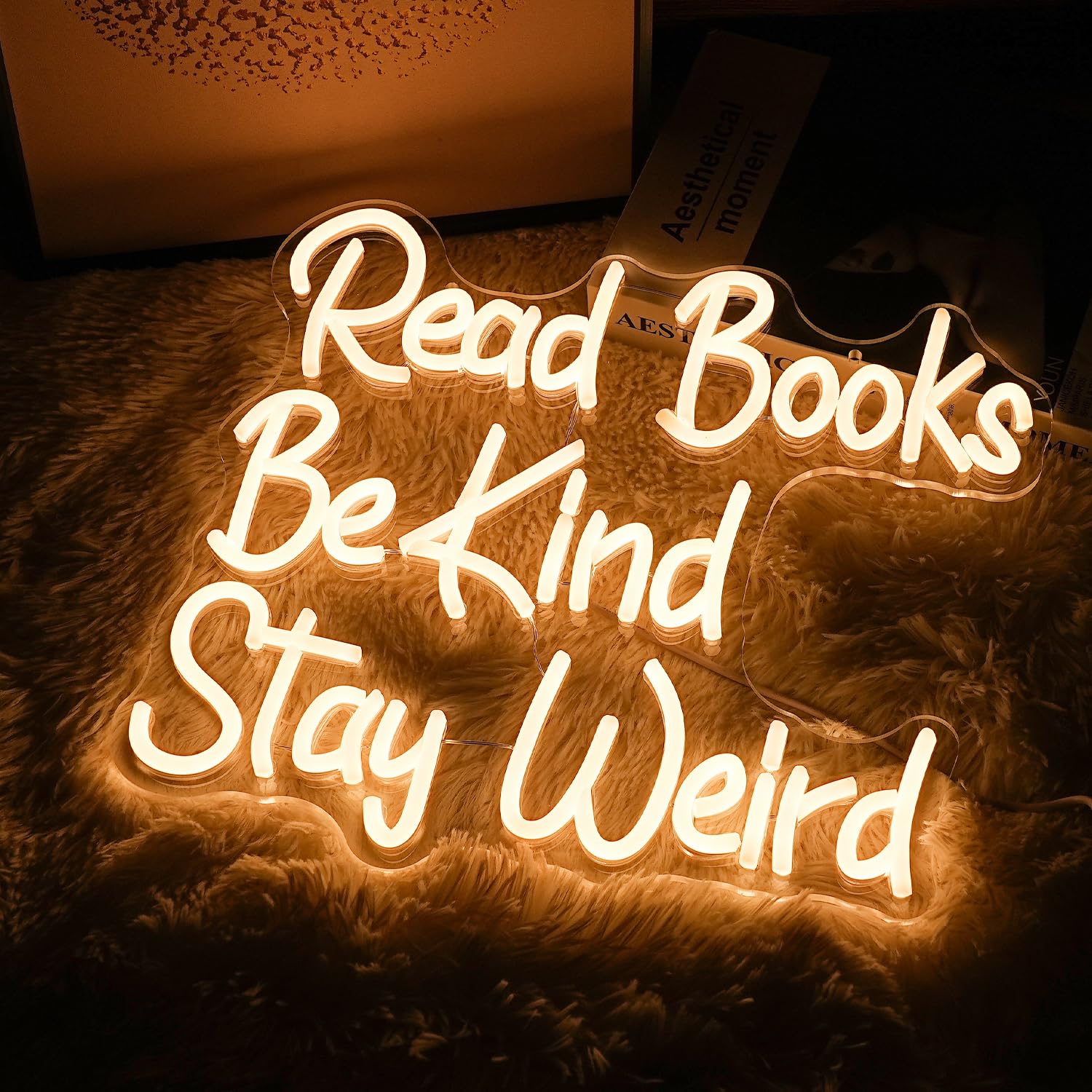 LISIGNVE LED Neon Sign - Read Books Be Kind Stay Weird - Dimmable USB Powered, 14.17in x13in , Warm White, Acrylic Wall Decor
