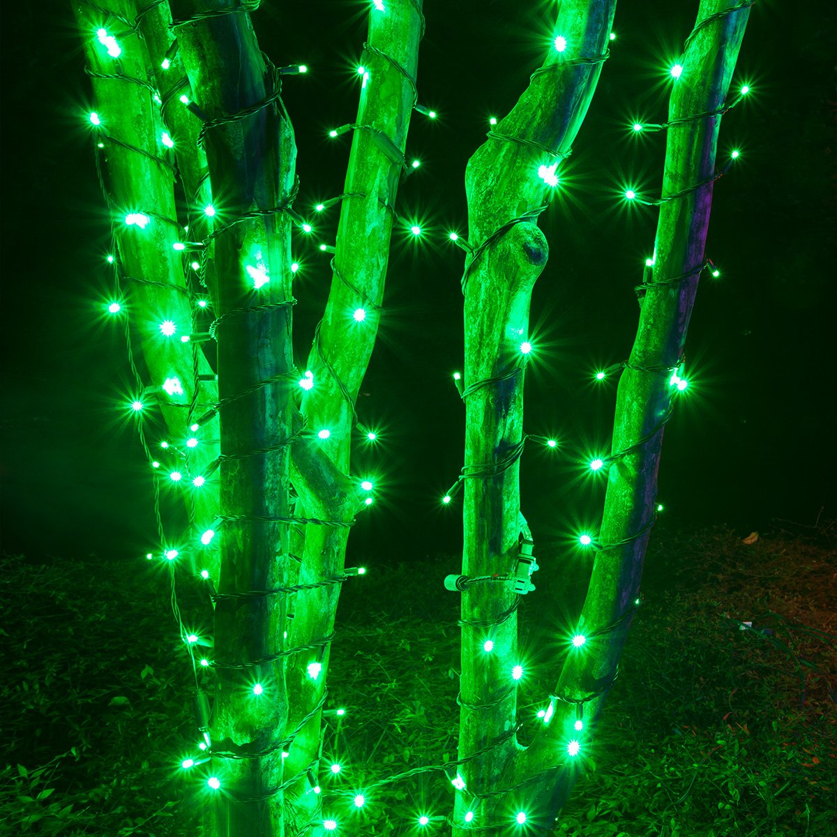 Kringle Traditions Green Christmas Mini String Light Set, 50 Led Lights, 25 Ft Indoor/Outdoor Green Lights Decorations St. Patricks Day Halloween Deorations Outdoor Party Home Christmas Tree
