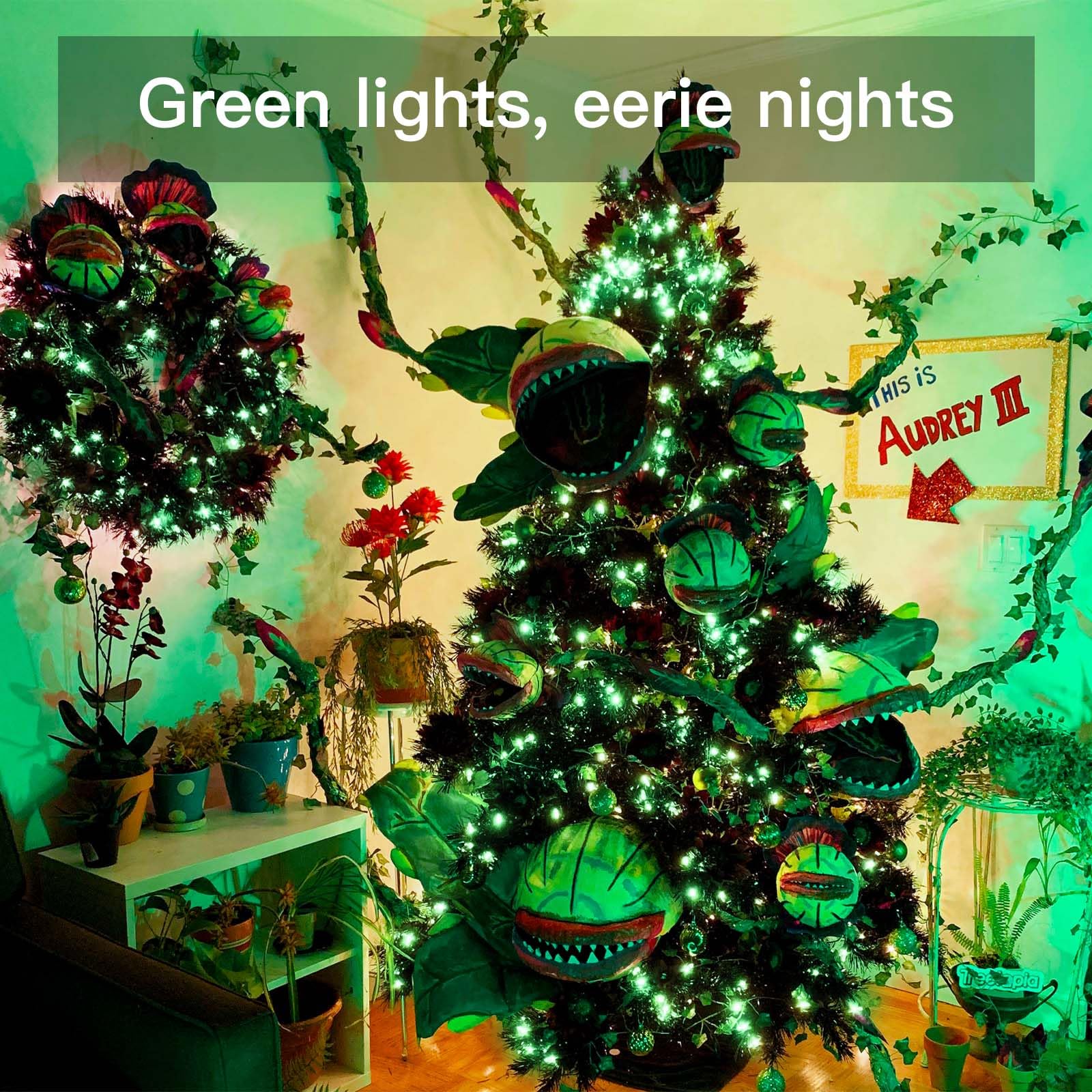 suddus Green Christmas Lights Battery Operatd, 66ft 200LED St Patricks Day Decorations Lights Indoor, Fairy Twinkle Lights with