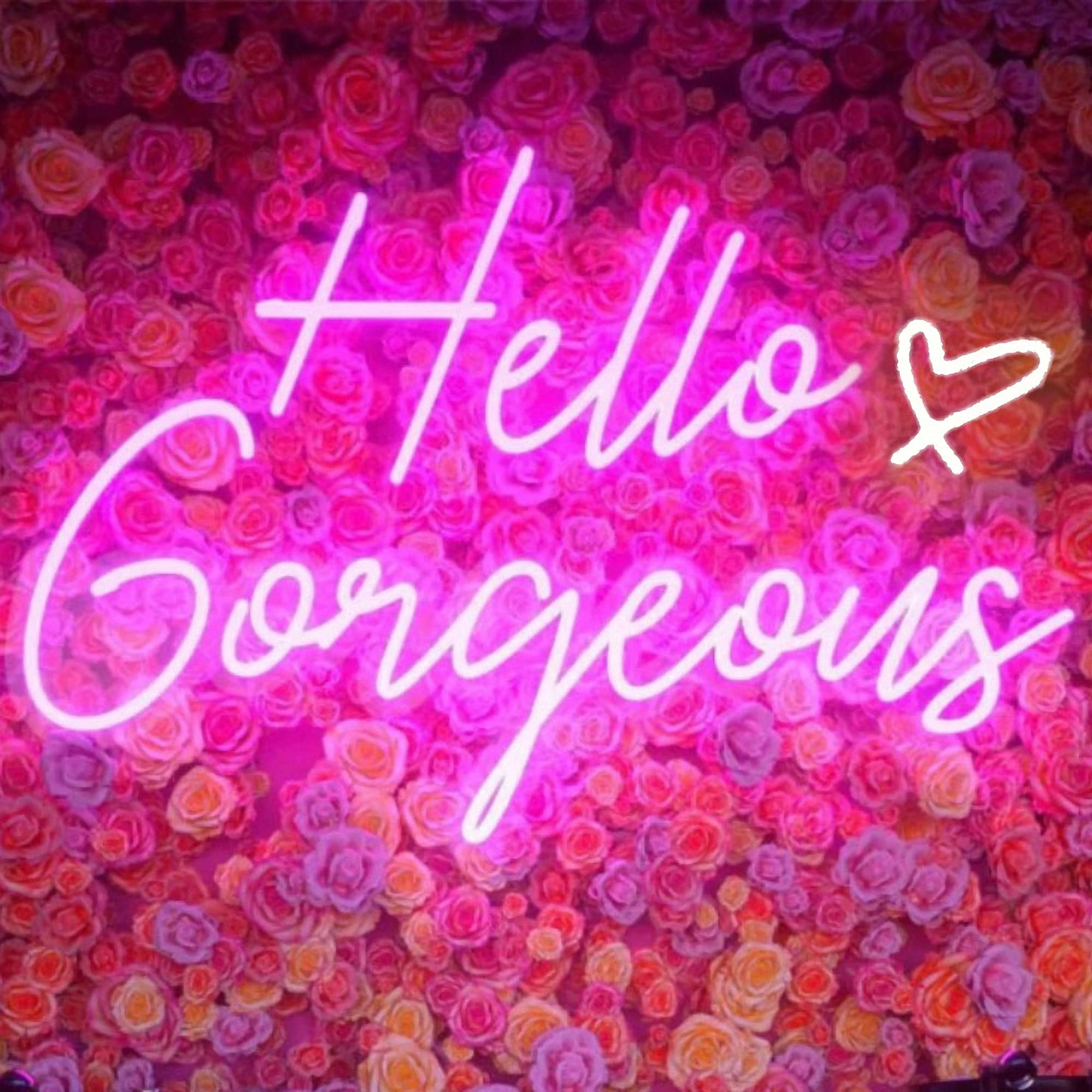 DAKABUKA Neon Sign, Hello Gorgeous Pink LED Light, Dimmable, 16.5x10.6 inches, Acrylic