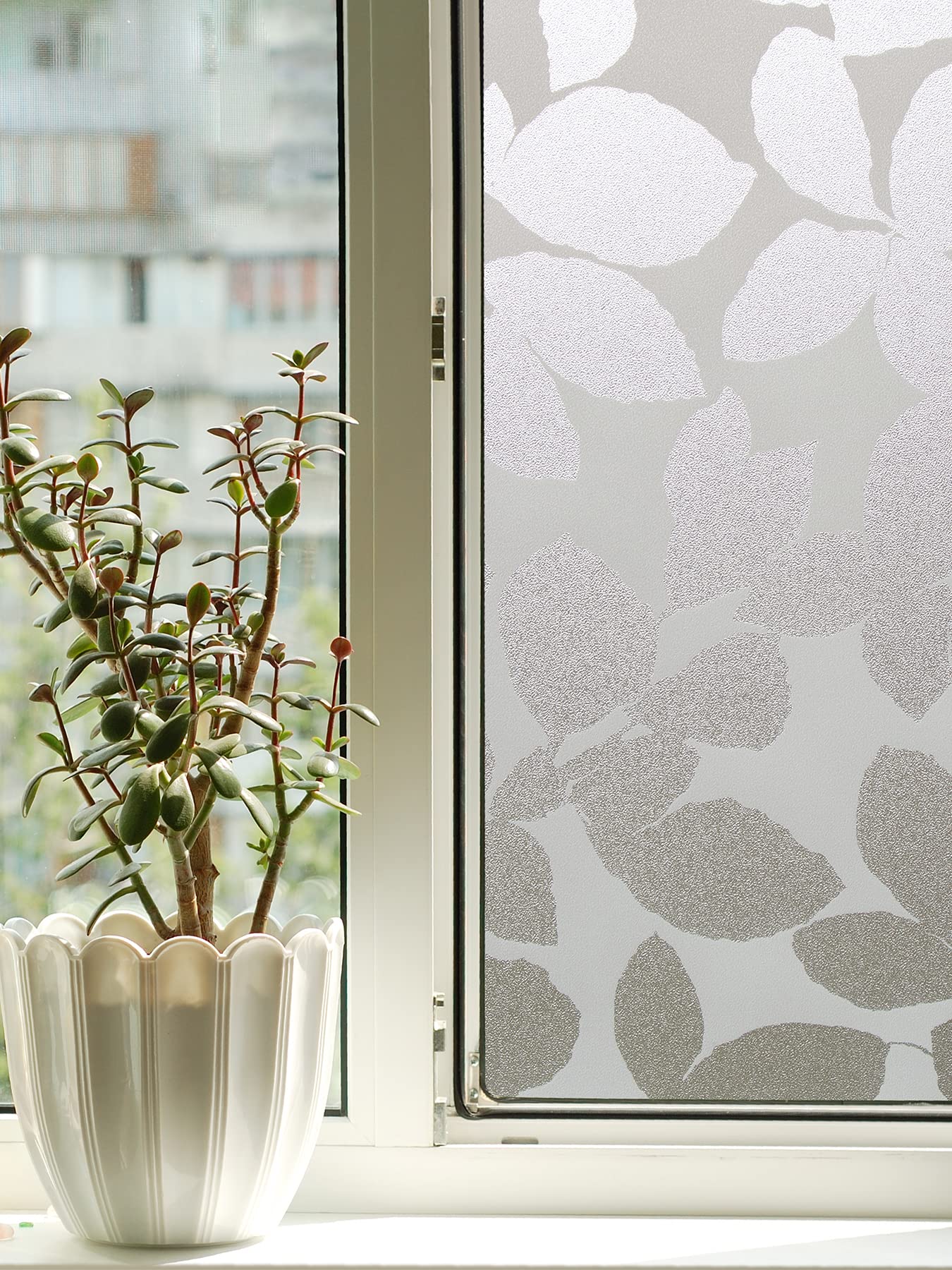 Fablon Leaf Window Film, Transparent, Model FAB10339, Plastic Material