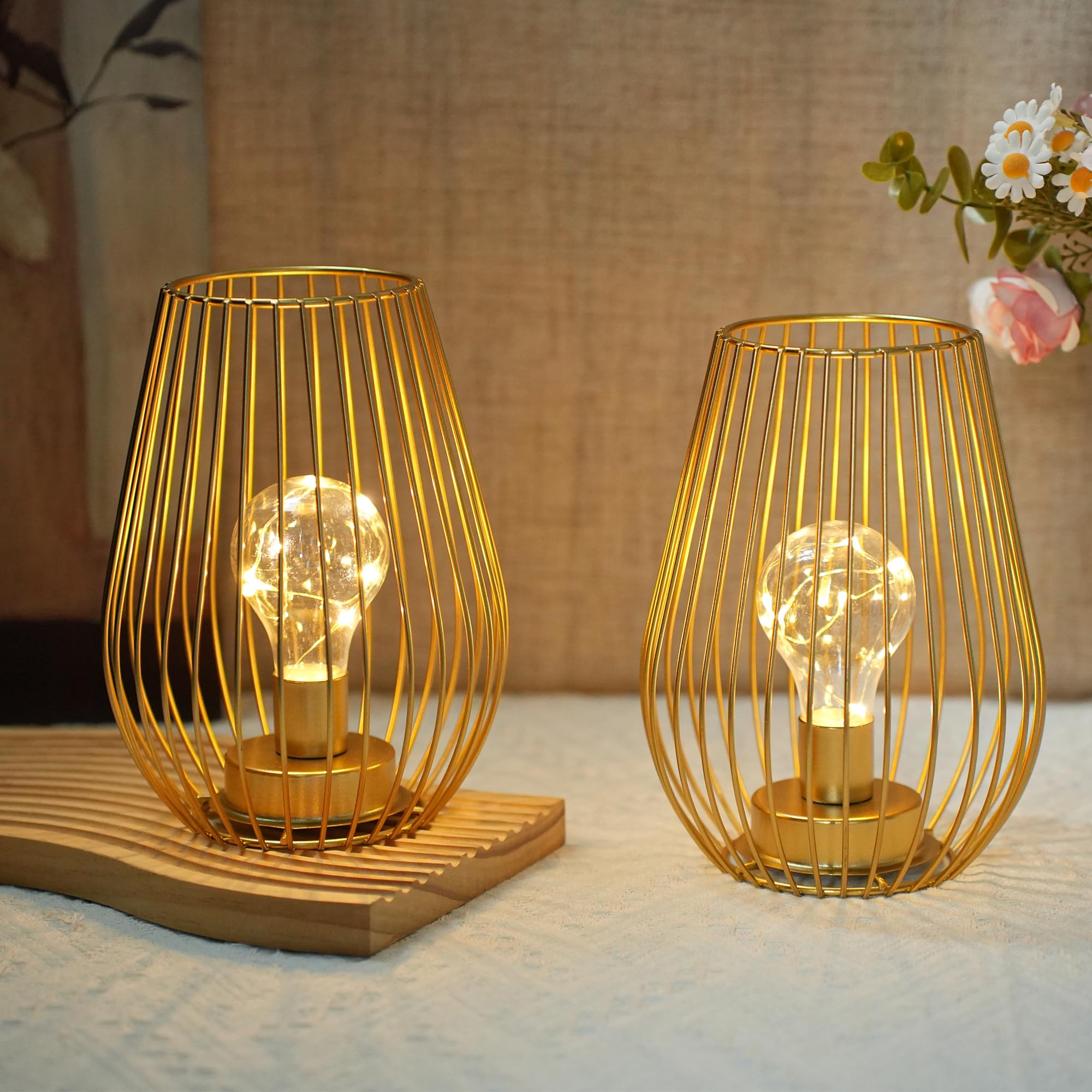 TRIROCKS Metal Cordless Table Lamp - 8 Tall Set of 2 Cage Shape Battery Operated Lamp with Fairy Lights Bulb for Indoor/Outdoo