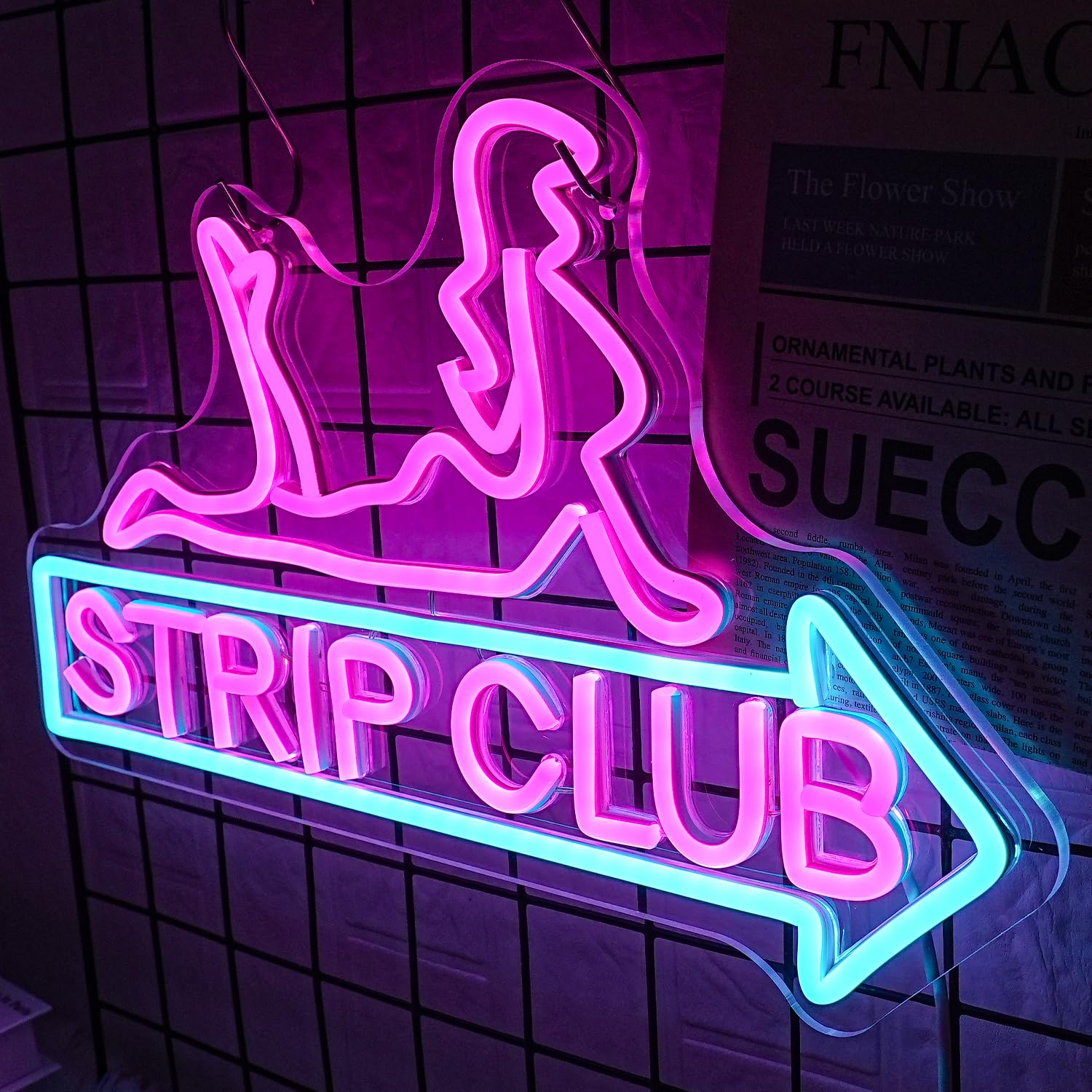 Lmsignly Strip Club Neon Sign Women Neon Light Sign For Wall Decor Dimmable Dance Club Neon Light Sign Letter Led Sign For Bedroom Living Room Club Dancing Party Ball Christmas Gift
