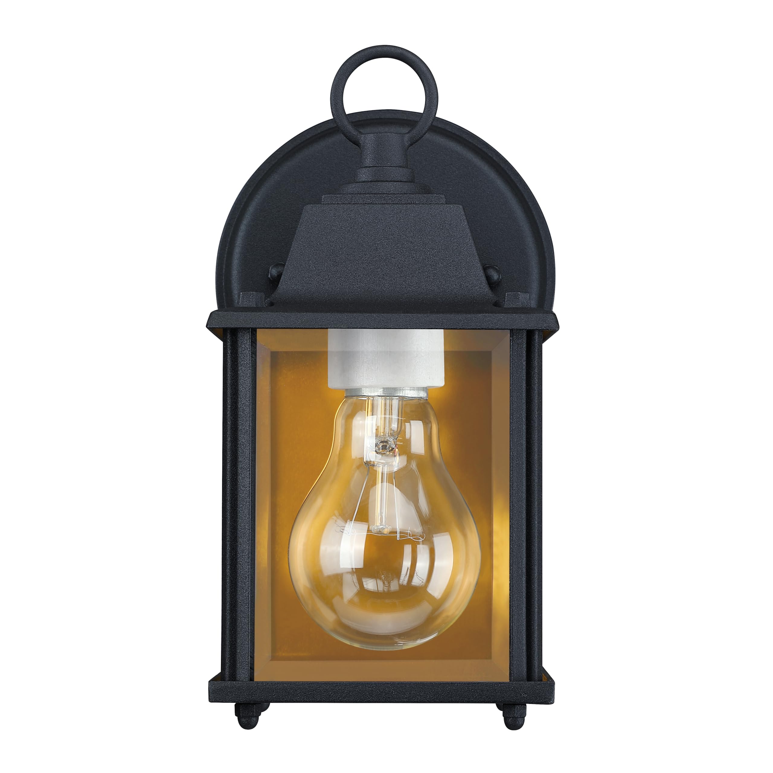 Designers Fountain Ivy Trail Outdoor Patio Lights, Pack Of 2 Exterior Wall Sconce, Clear Glass Light Fixture Set, Black