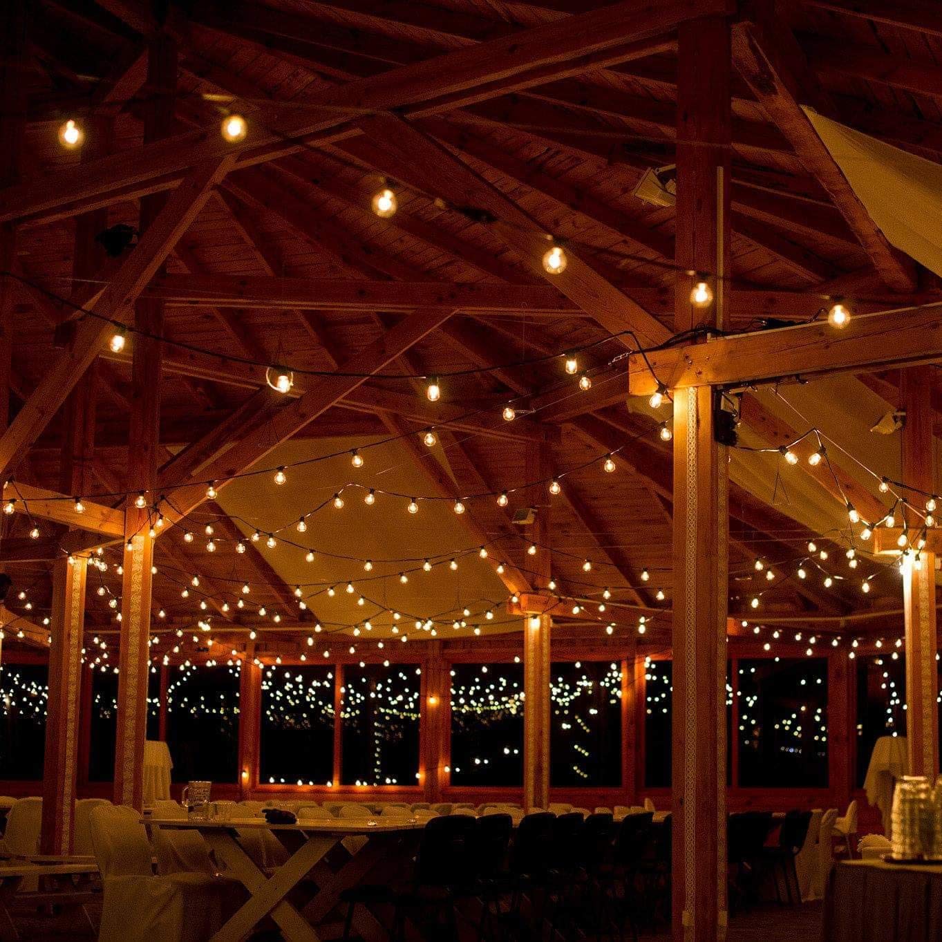 Hometown Evolution Outdoor Patio Globe String Lights - 50 Foot, G40 White Pearl Bulbs, Green Wire