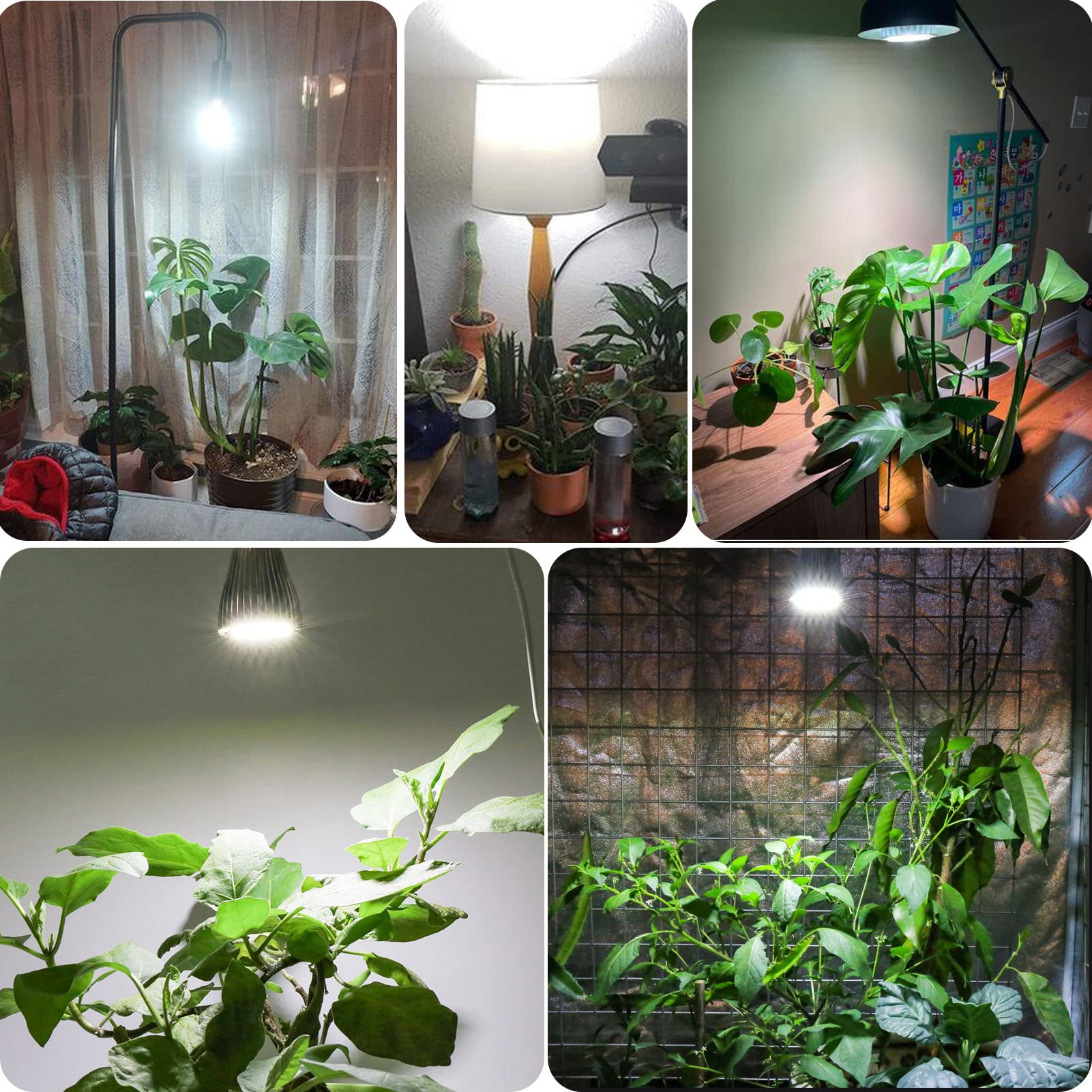 Milyn 2 Pack 30W Led Grow Light Bulb White Full Spectrum Grow Lights For Indoor Plants, E26 Plant Light Bulb For Diy Indoor Plants, Flowers, Greenhouse, Indore Garden, Hydroponic