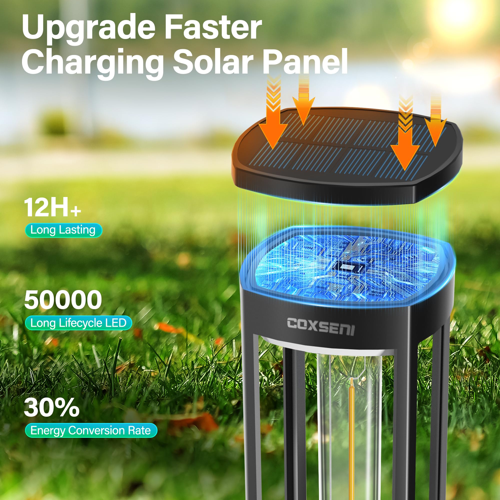 Coxseni Solar Pathway Lights Outdoor 8 Pack, Bright Solar Path Lights Outside Waterproof, Sidewalk Lights Solar Powered Landscap