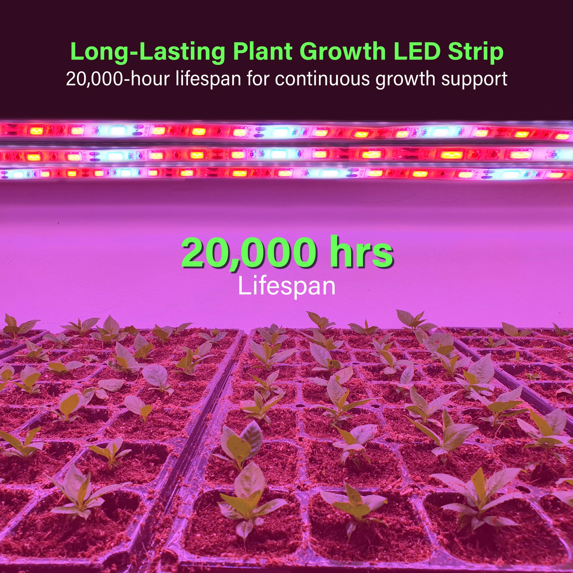 Zone Industry Corp. Led Grow Light Tape, 11.8 Feet / 360 Cm Plant Growing Light Strip Kit For Indoor Gardening, Full Spectrum, 24 Watt, Water Resistant, Plug-In Design