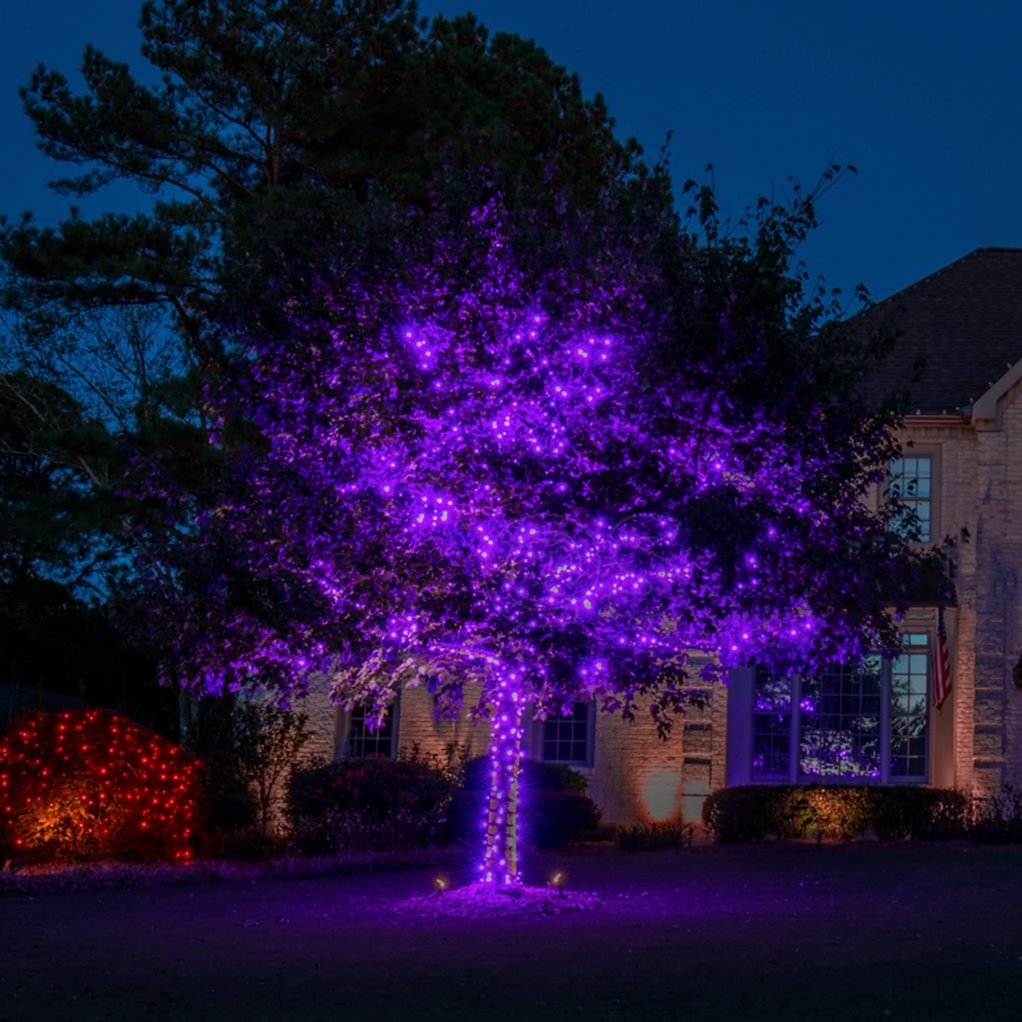 Tw Shine 200 Led Purple Halloween Lights, 66Ft Waterproof With 8 Modes, Indoor/Outdoor Decorations, Model Hb-200Coi