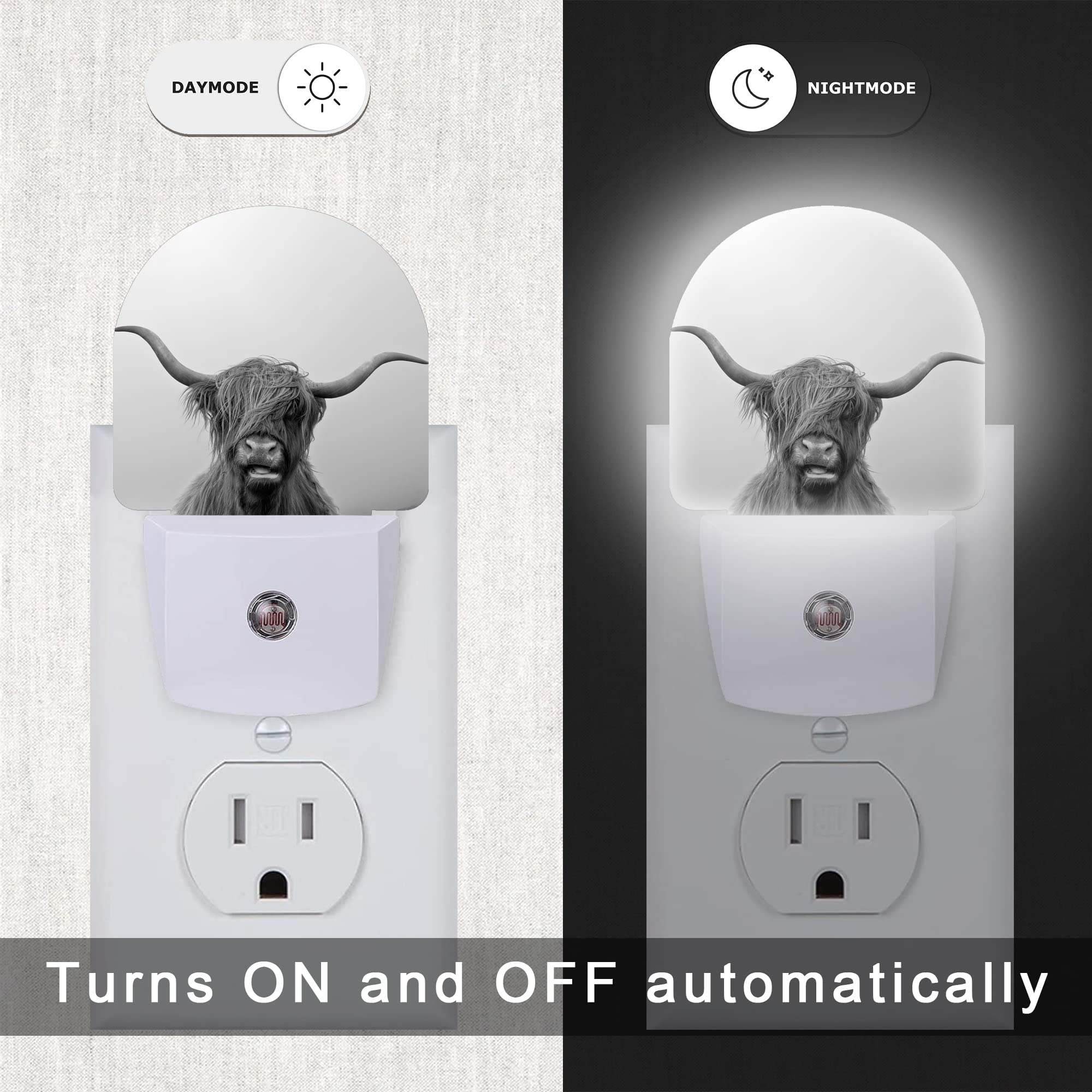 Aowula Highland Cow Night Light,Cows Night Lights Plug Into Wall For Boys Girls Bedroom Decorative Half Round Nightlight Led Lam