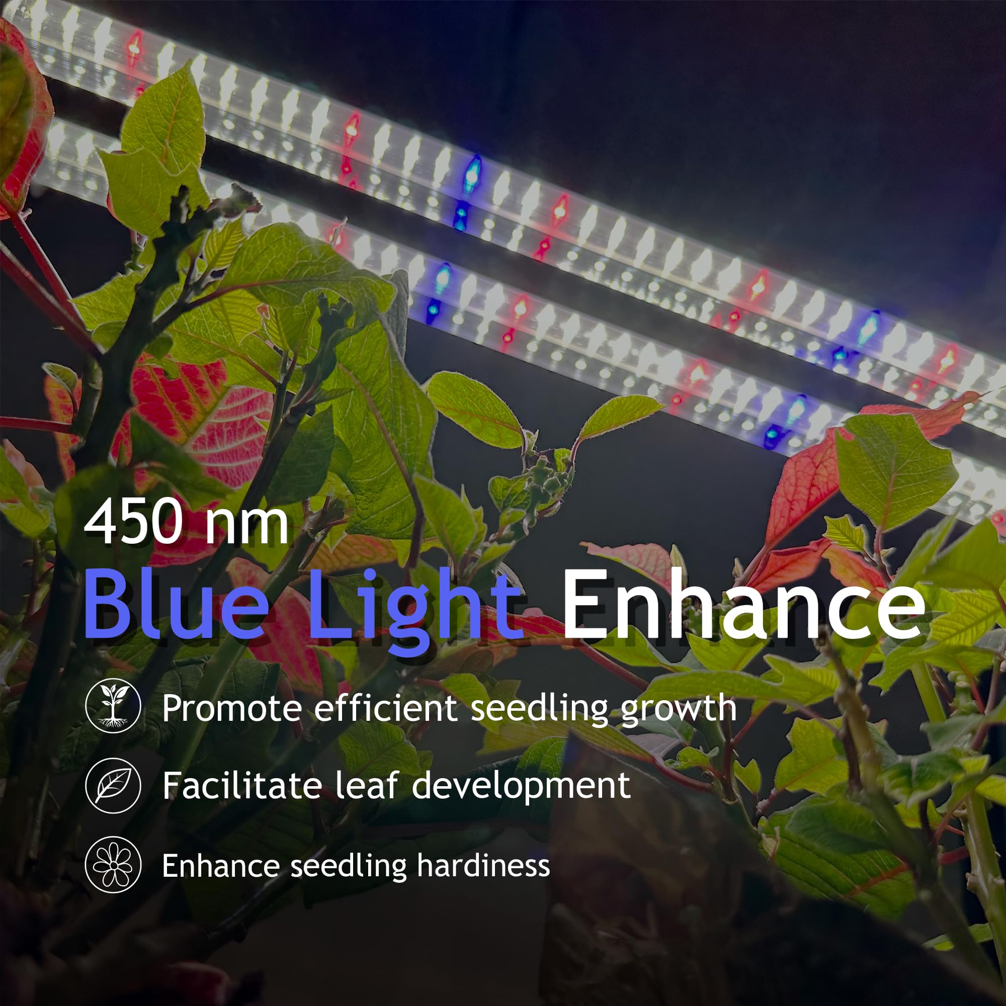 DYMOND Boostgro LED Grow Light - 3FT Full Spectrum, 5000K Daylight, 660nm Red, 450nm Blue, Black, Model DYGL36BLKS1