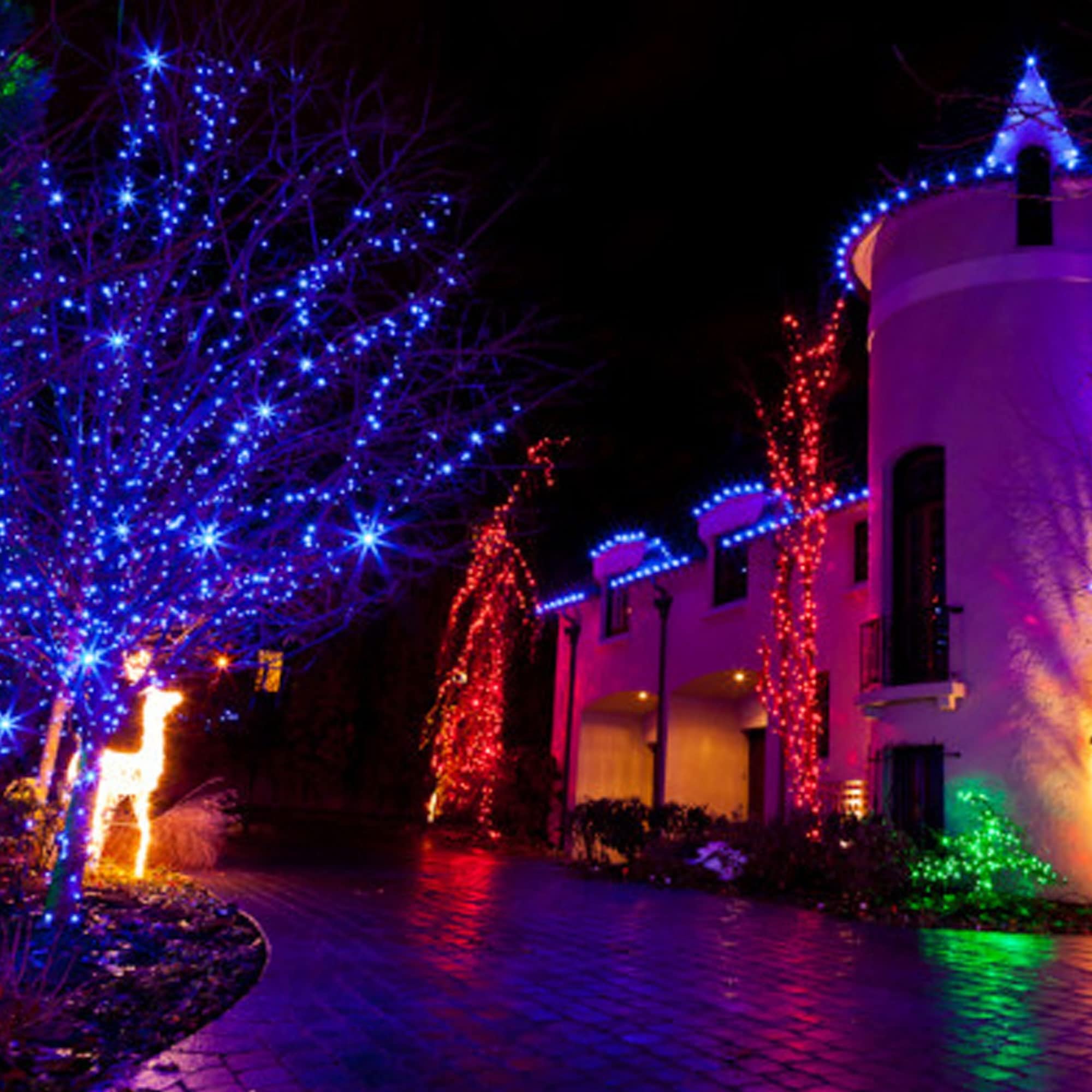 TW SHINE Christmas Lights, 200 LED, 66FT Waterproof Outdoor Indoor Decor, Blue, Model HB-200COI