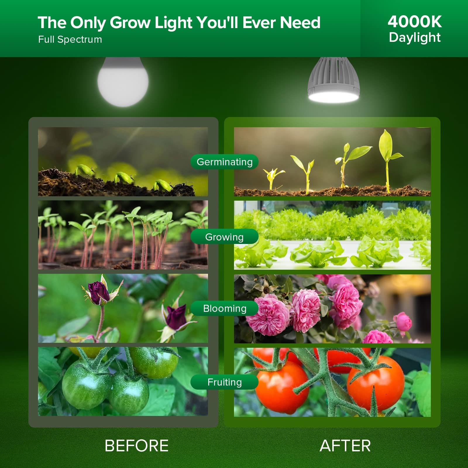 SANSI Grow Light Bulb, 32W Full Spectrum LED, High PPFD, Ceramic Material, Model 01-03-001-013201