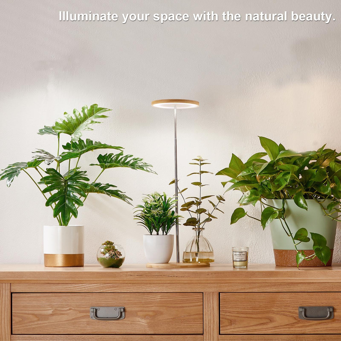 yadoker plant grow light Yadoker Plant Grow Light for Indoor Plant Bamboo Mini LED Grow Light Garden Height Adjustable Automatic Timer with 8/12/16 Hours