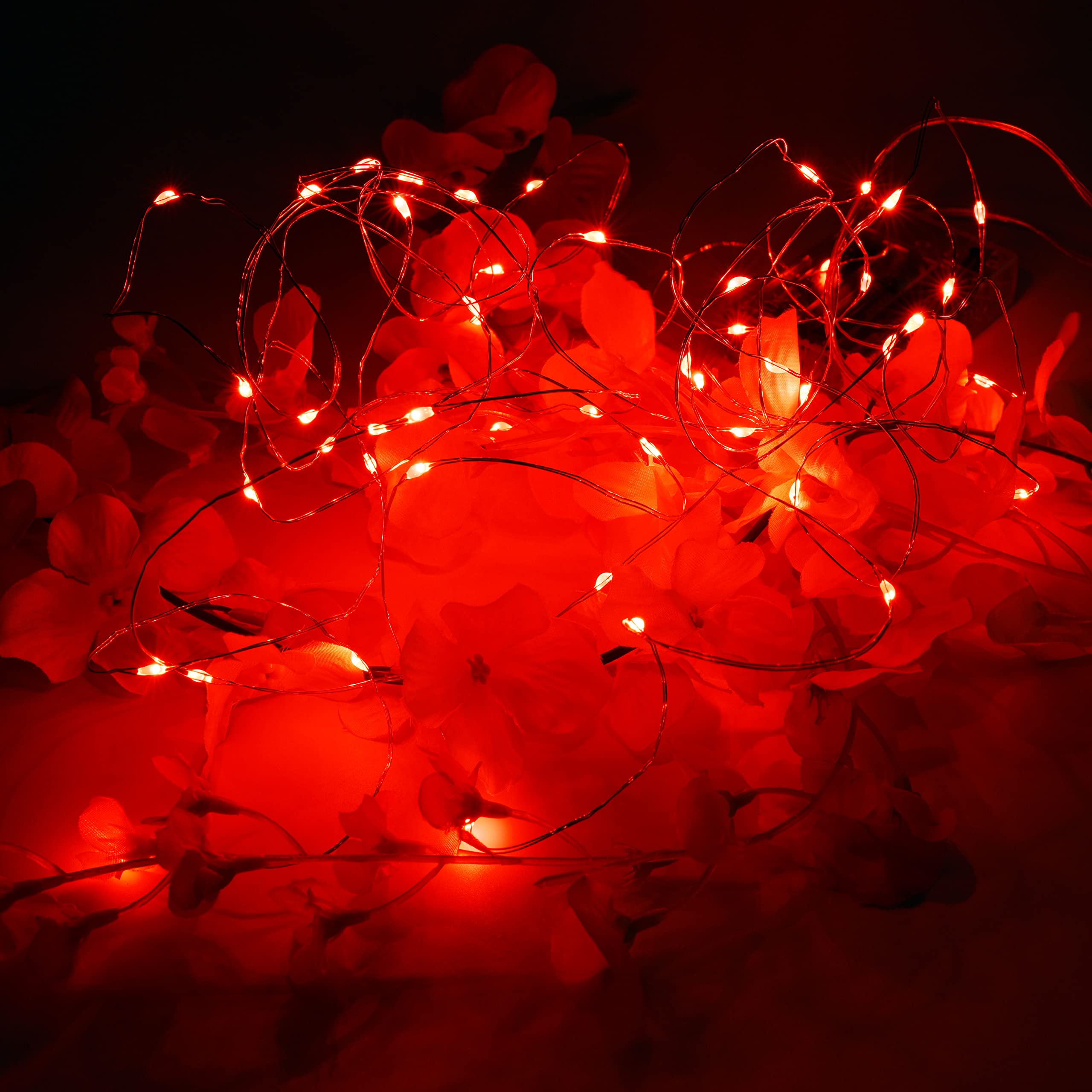 Uhugu Christmas Lights Battery Operated, 16Ft Christmas Lights Battery Operated With 8 Flashing Modes And 8 Hours On 16 Hours Off Timer(Red,1 Pack)