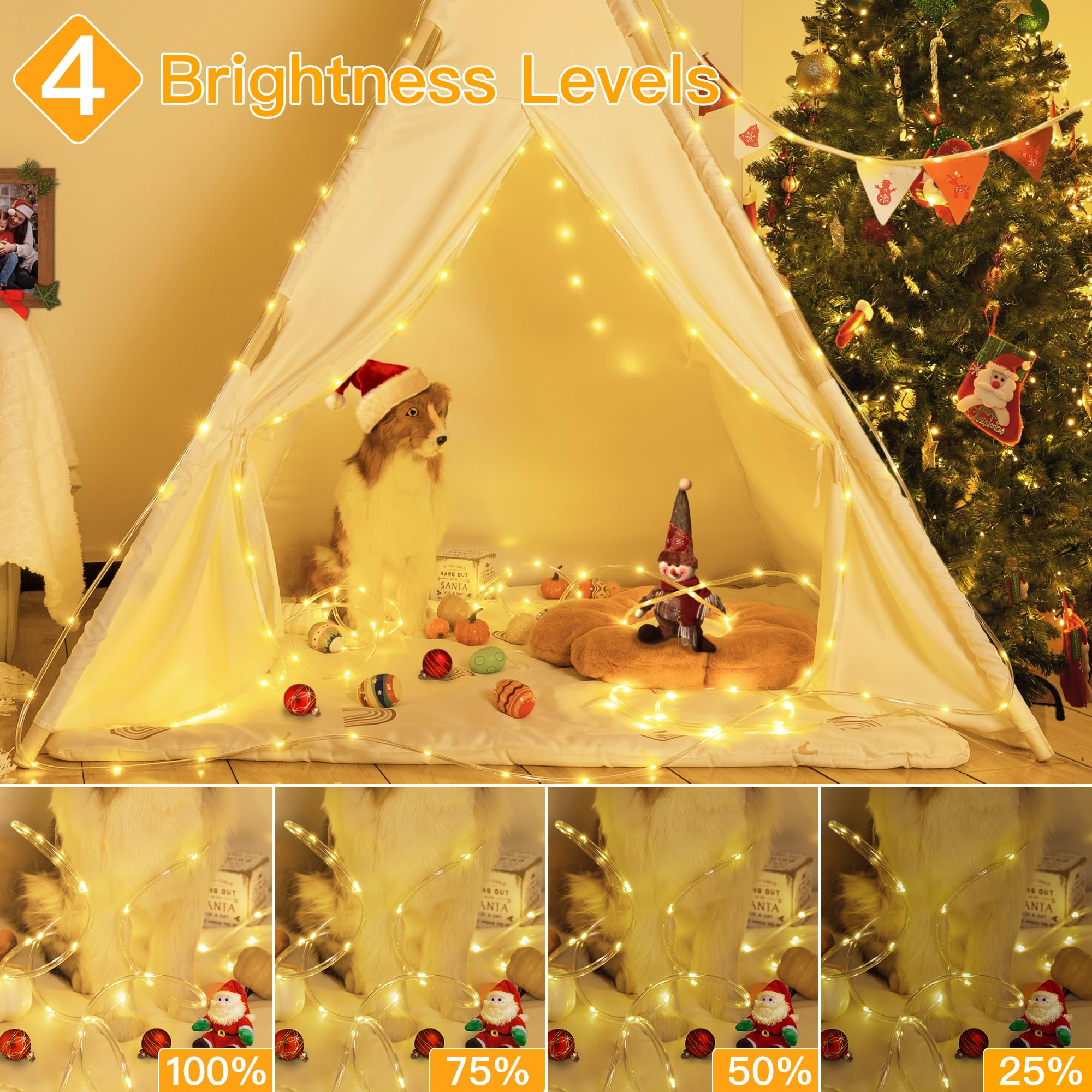 Ollny Rope Lights 33Ft 100 Led, Usb Warm White String Lights With Remote, 8 Modes Ip68 Waterproof Timer Fairys Lights For Indoor Outdoor Bedroom House Party Christmas Decorations