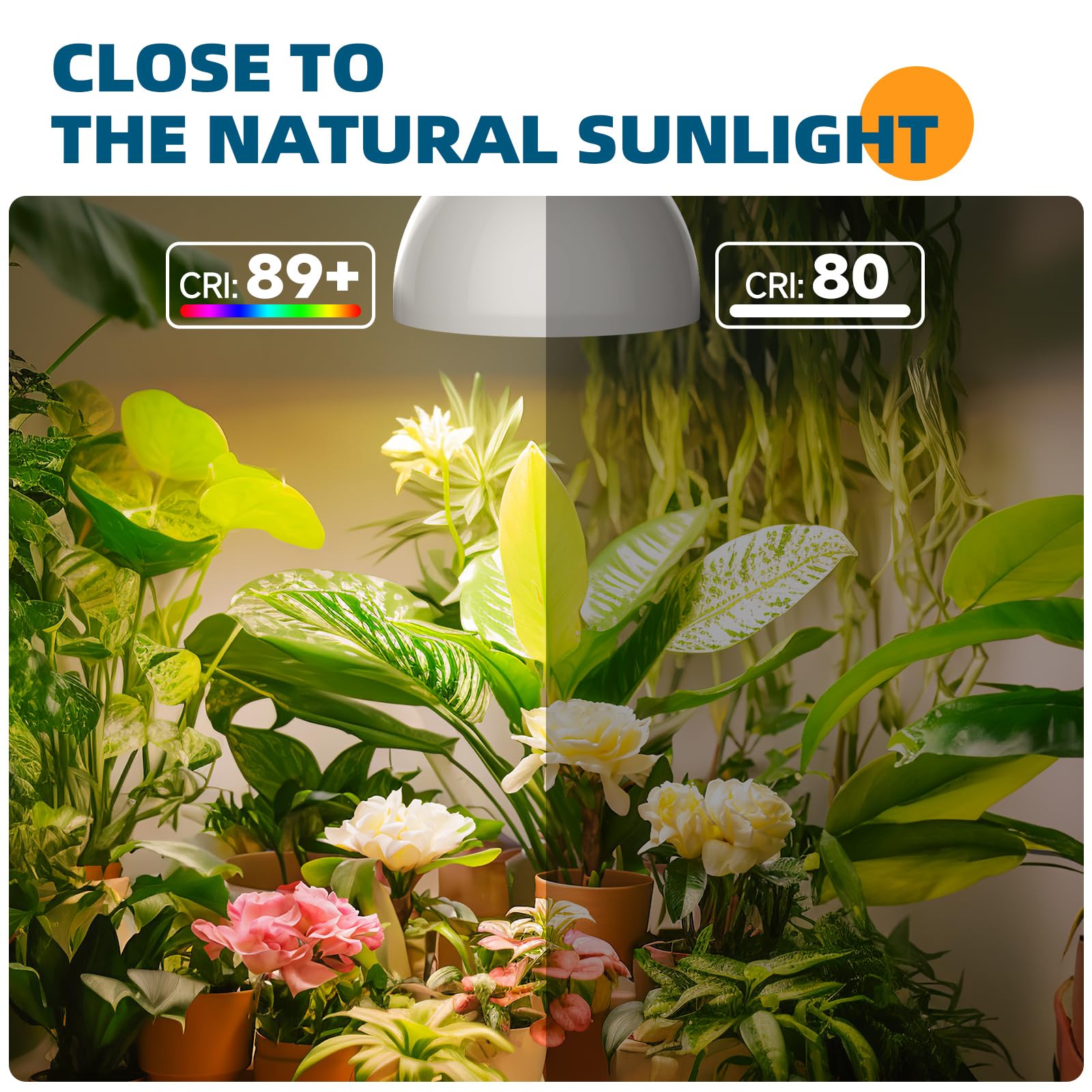 Barrina Hanging Grow Light, 25W Full Spectrum, with Timer, 1-Head, White, Model BLN-GLPAR-1H