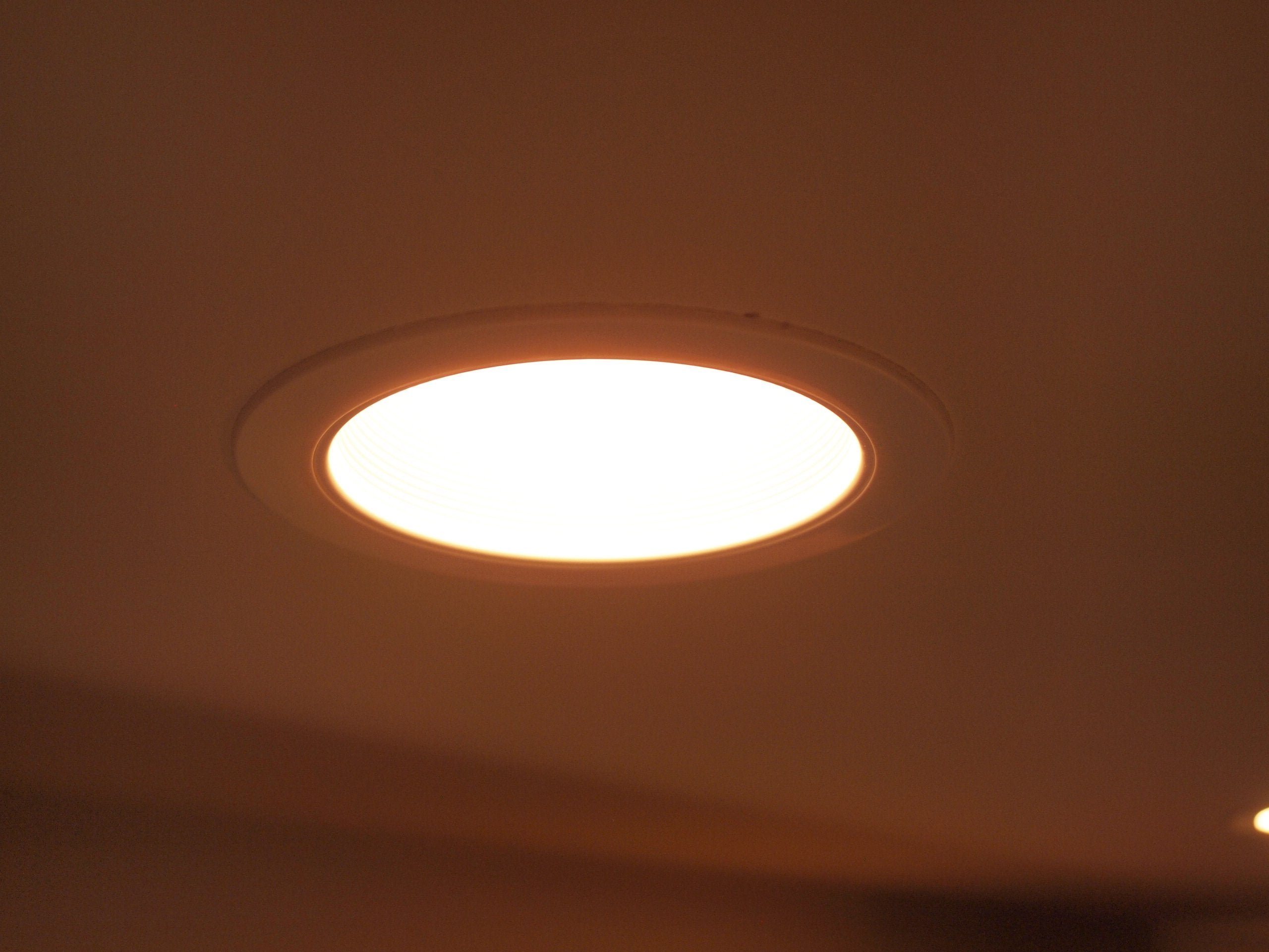 Par 20 15 Pack Fl25 50Par20/Fl 50 Watt Halogen Spot Light Bulb Replacement 120V 130V Edison Base Flood Beam Lighting Range Hood Oven Par20 Reflector Excel Holgen Hologen Bulbs Dl Kitchen Bathroom