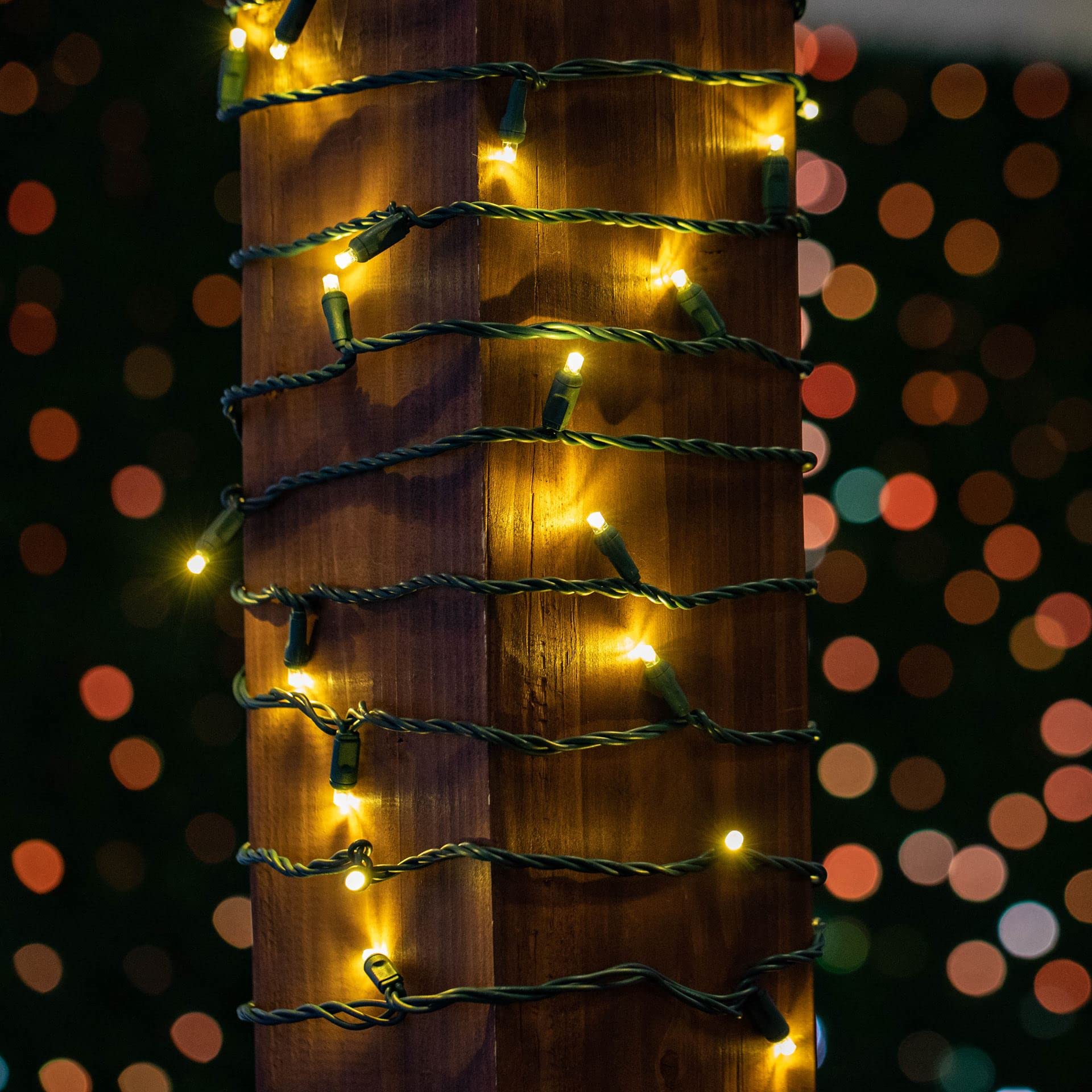 Novelty Lights 50Ft 100 Warm White Mini Led String Lights Outdoor/Indoor Connectable Christmas Lights On Green Wire, Commercial