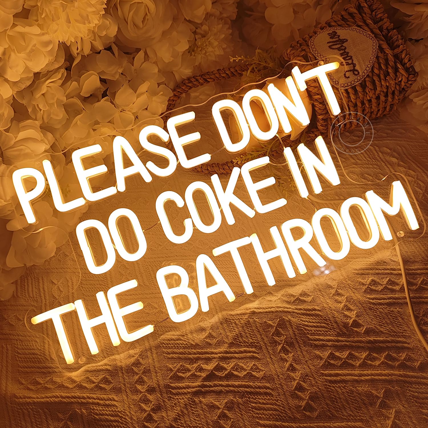 Sylhome Please DonT Do Coke In The Bathroom Game Room Bedroom Bar Store Wall Decor Sign Birthday Christmas Party Backdrop Gifts Usb 16.9X9.2 Warm