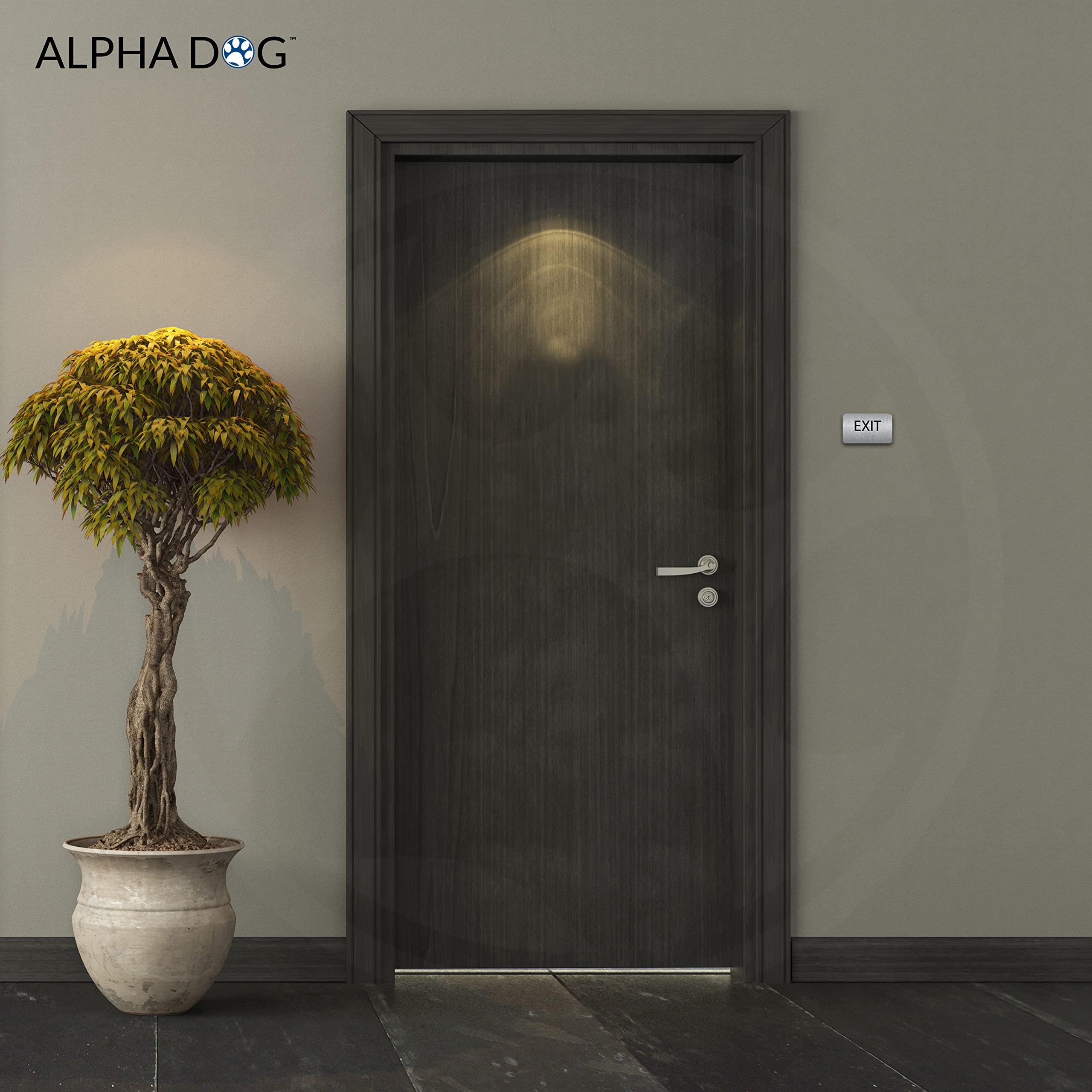 Alpha Dog Ada Signs Braille Exit Sign 3X5 Inch Ada Compliant Indoor Outdoor Business Easy Install Usa Made (Brushed Stainless)