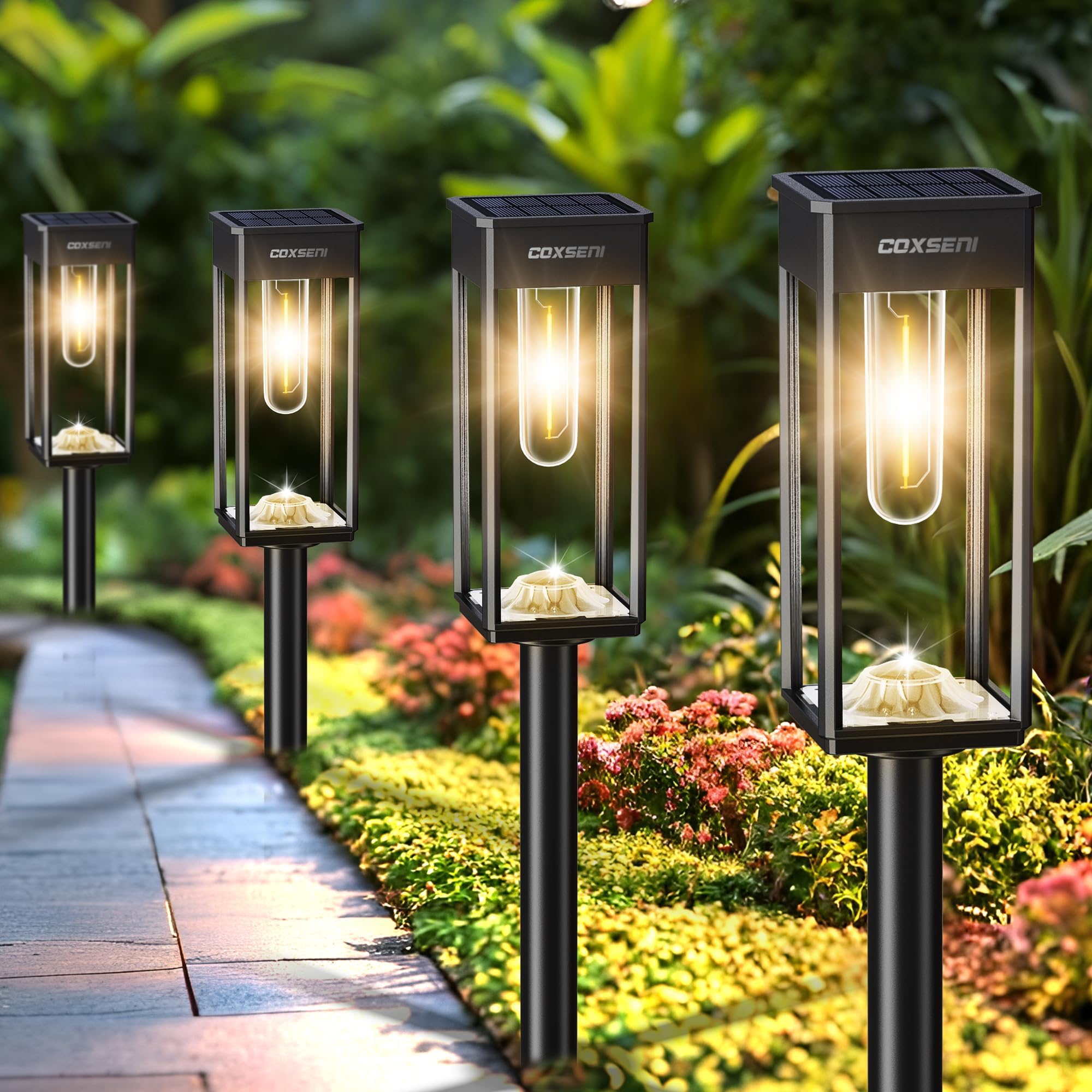COXSENI Solar Pathway Lights Outdoor IP65 Waterproof, 6 Pack 3000K LED Auto On/Off Walkway Landscape Light for Yard Lawn Garden 