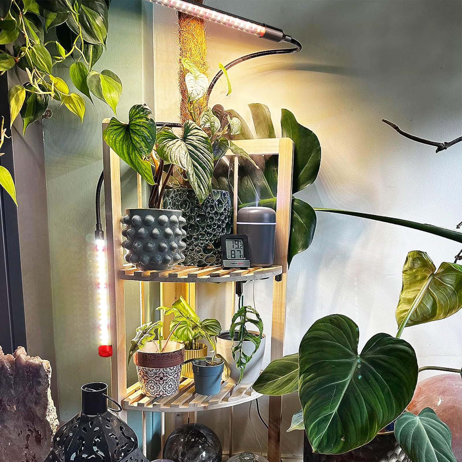 Clip Grow Lights For Seed Starting With Timer, Full Spectrum Brightest Plant Growing Lamps For Indoor Plants, Bonsai, Seedlings,