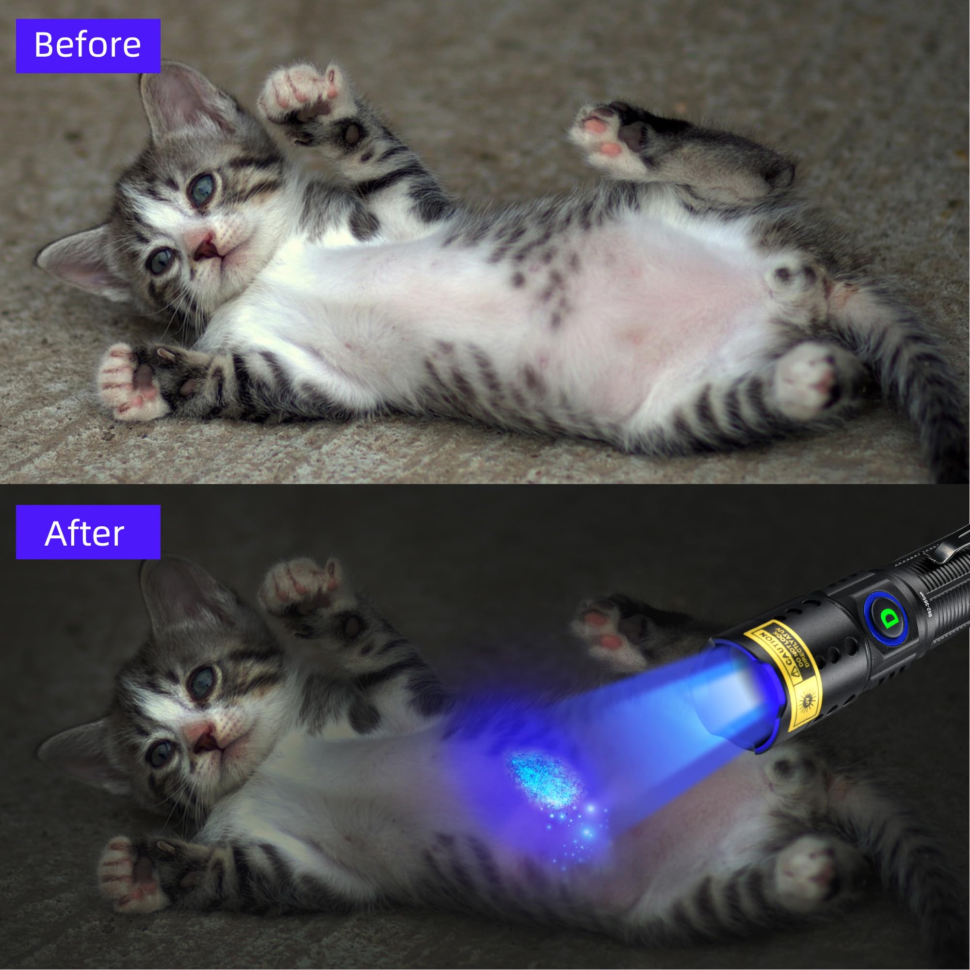 Darkdawn Uv Flashlight 365Nm Blacklight ,Mini Usb-C Rechargeable Led With Black Mirror, Woods Lamp Powerful Fluorescent Portable