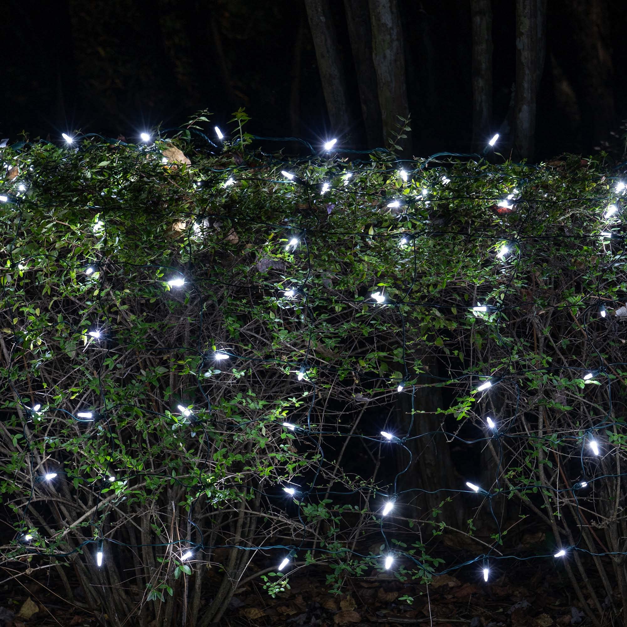Set Of 100 Cool White Led Net Lights – Christmas Net Lights, Outdoor Christmas Decorations, Green Wire (4 X 6 Ft, M5 Lights, Cool White)