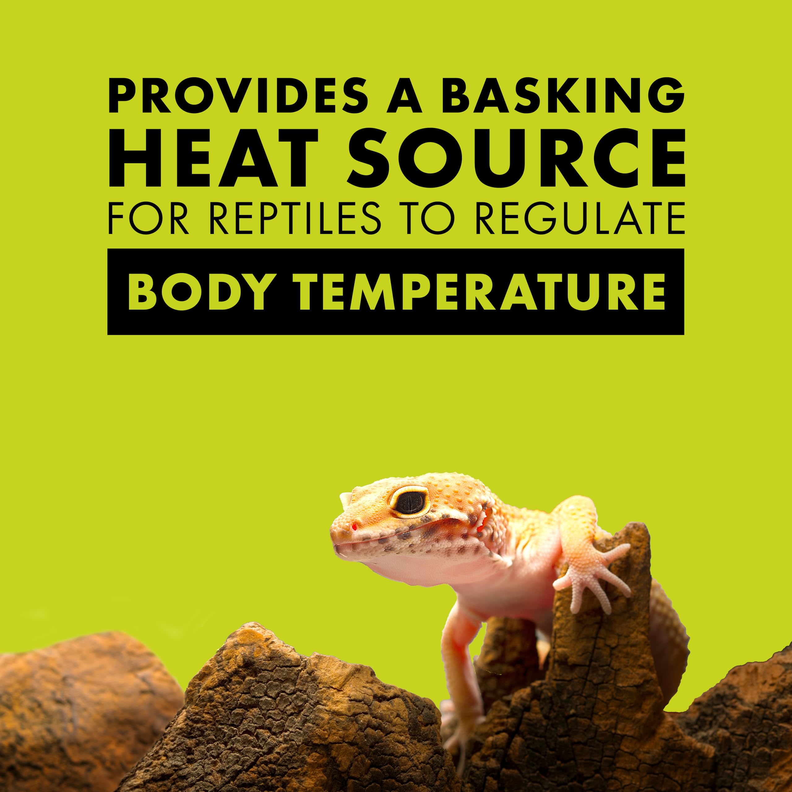 Zilla 150W Incandescent Heat Lamp For Reptile Terrariums - Day White Glass Bulb