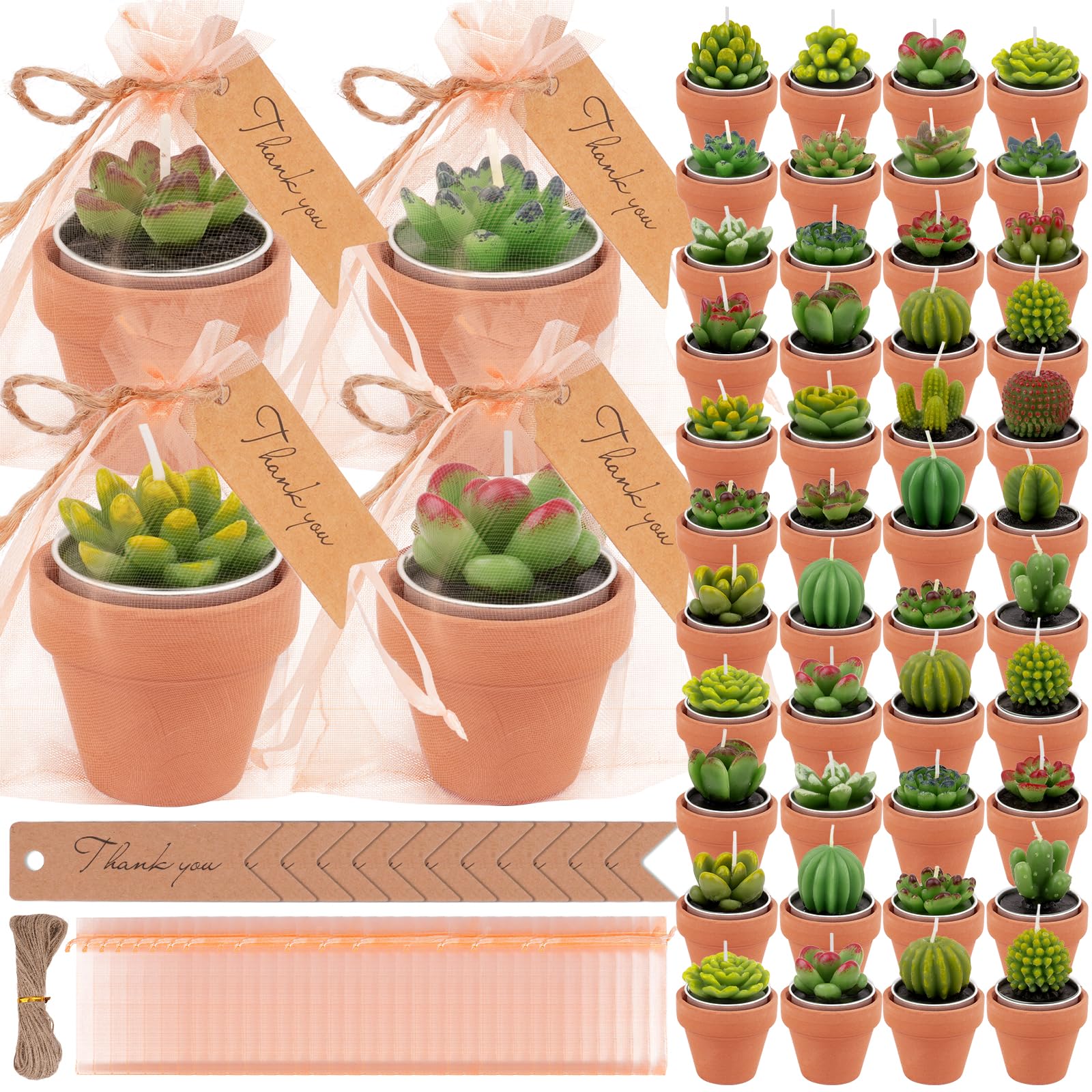 54 Pcs Succulent Cactus Candles Set, Mini Tealight Candles Baby Showers Cactus Plant Decorations with Mini Terracotta Clay Candl
