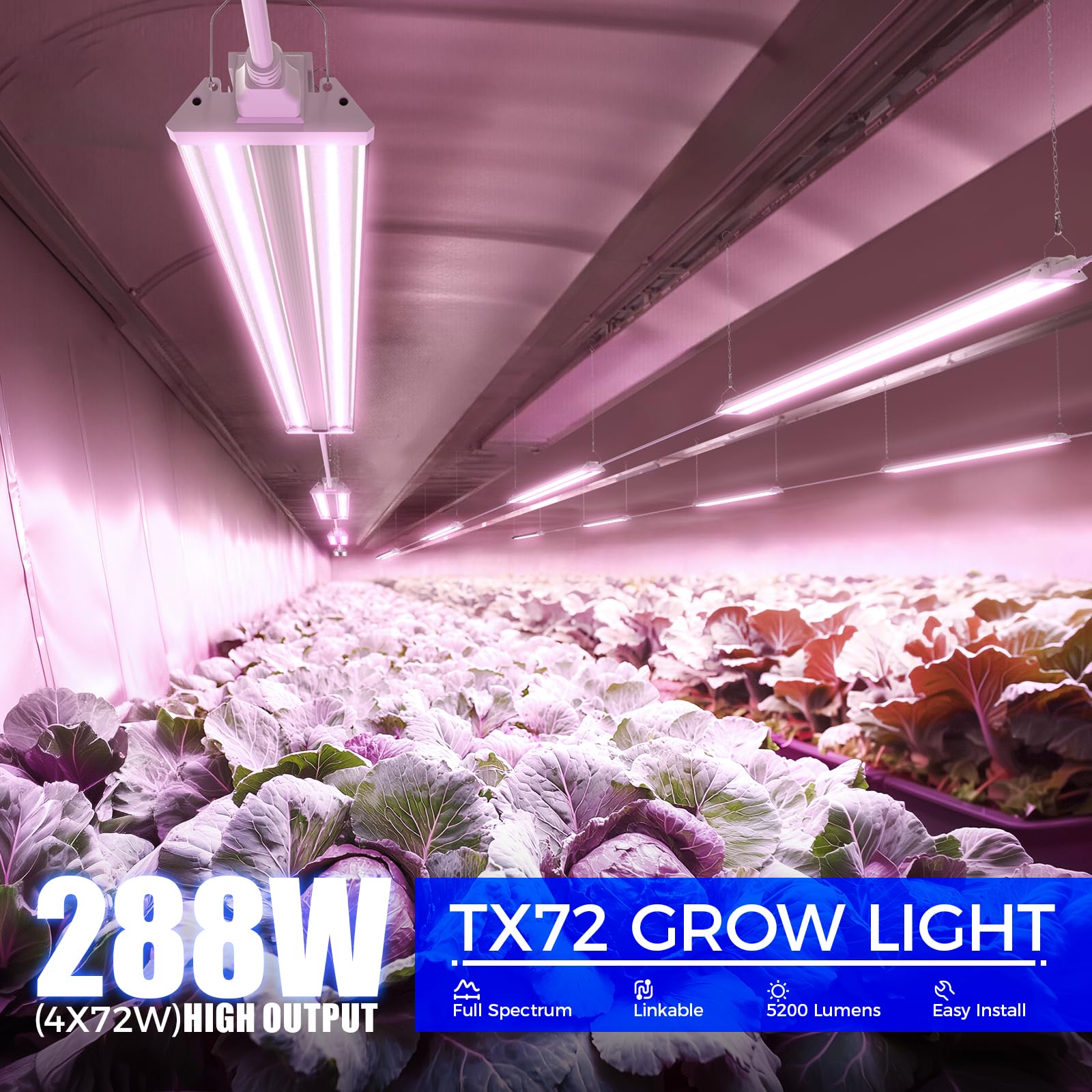 Barrina TX72 Grow Lights for Indoor Plants, Full Spectrum, 288W, 4FT, 4 Packs, Purple, with Mechanical Timer