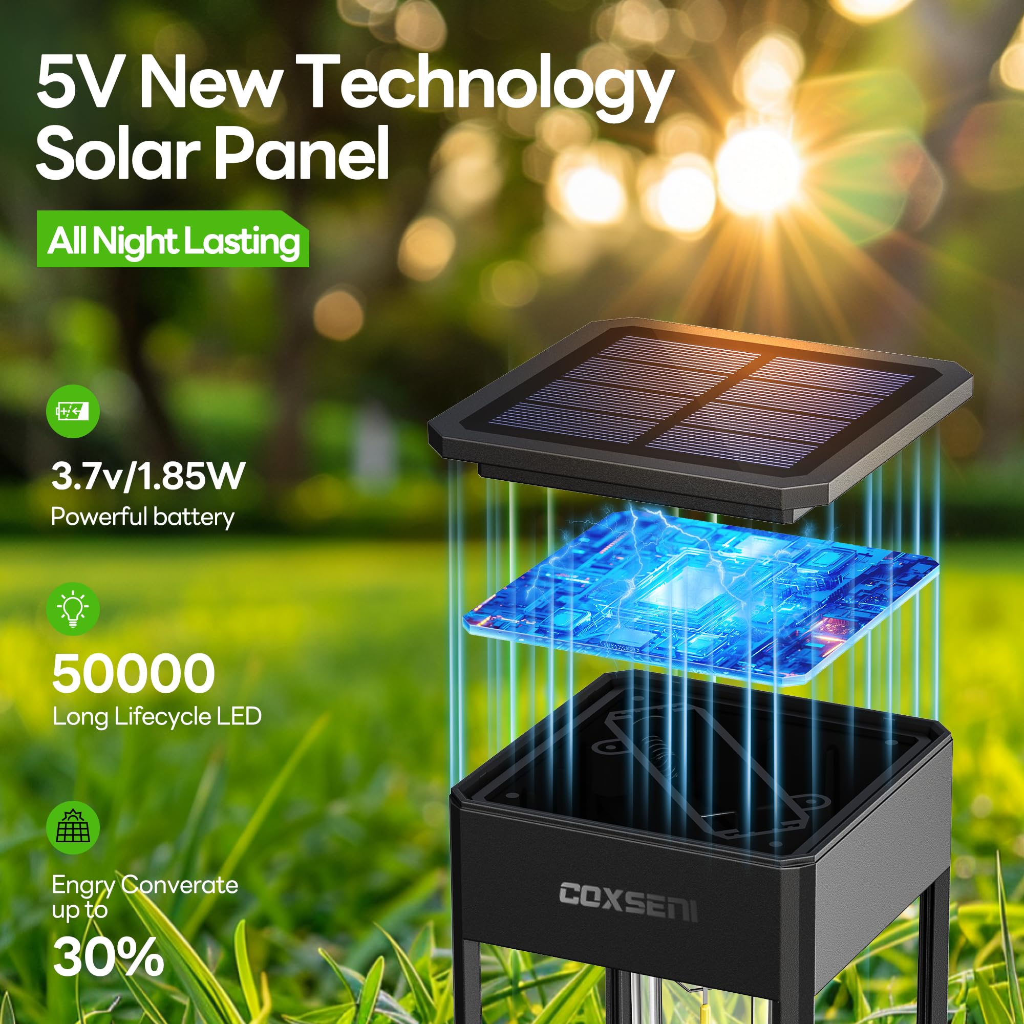 COXSENI Solar Pathway Lights 8 Pack - Waterproof IP65, 40LM Bright Warm White Outdoor Lighting for Garden, Yard, Driveway