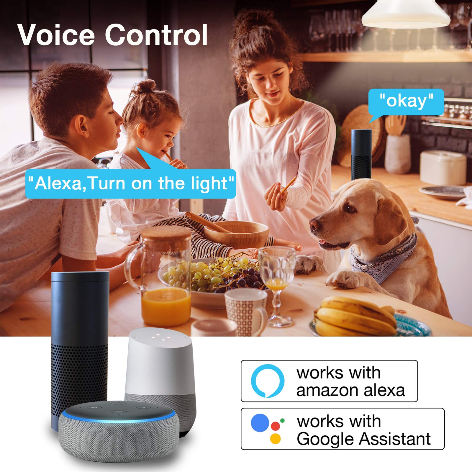 Daybetter Tuya Smart Light Bulbs, Rgbcw Wifi Color Changing Led Bulbs Compatible With Alexa And Google Home Assistant, A19 E26 9