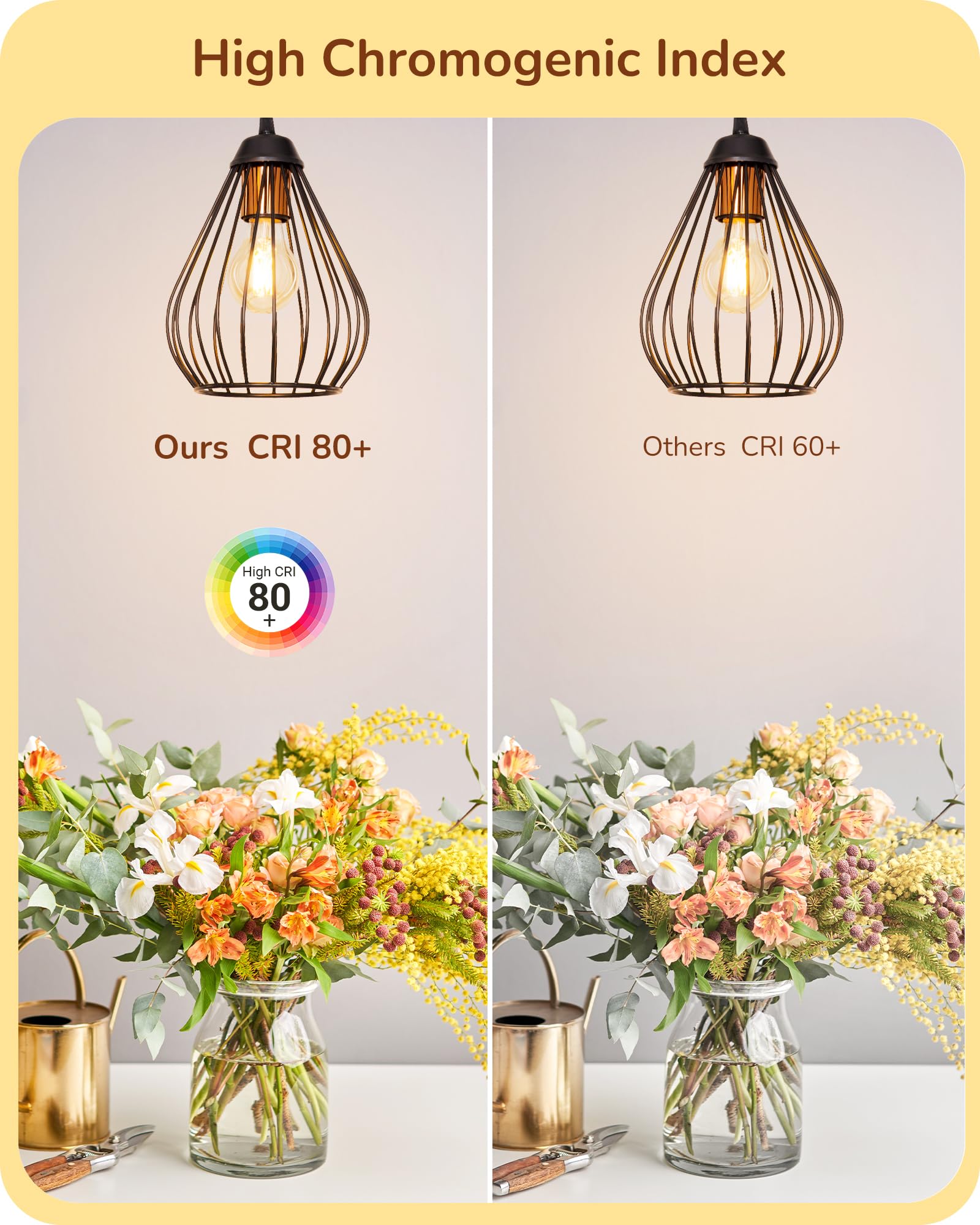 EDISHINE Vintage LED Edison Bulbs, 6 Pack, Dimmable A19, 800LM, 2700K Warm White, E26 Base, Decorative Antique Glass Filament
