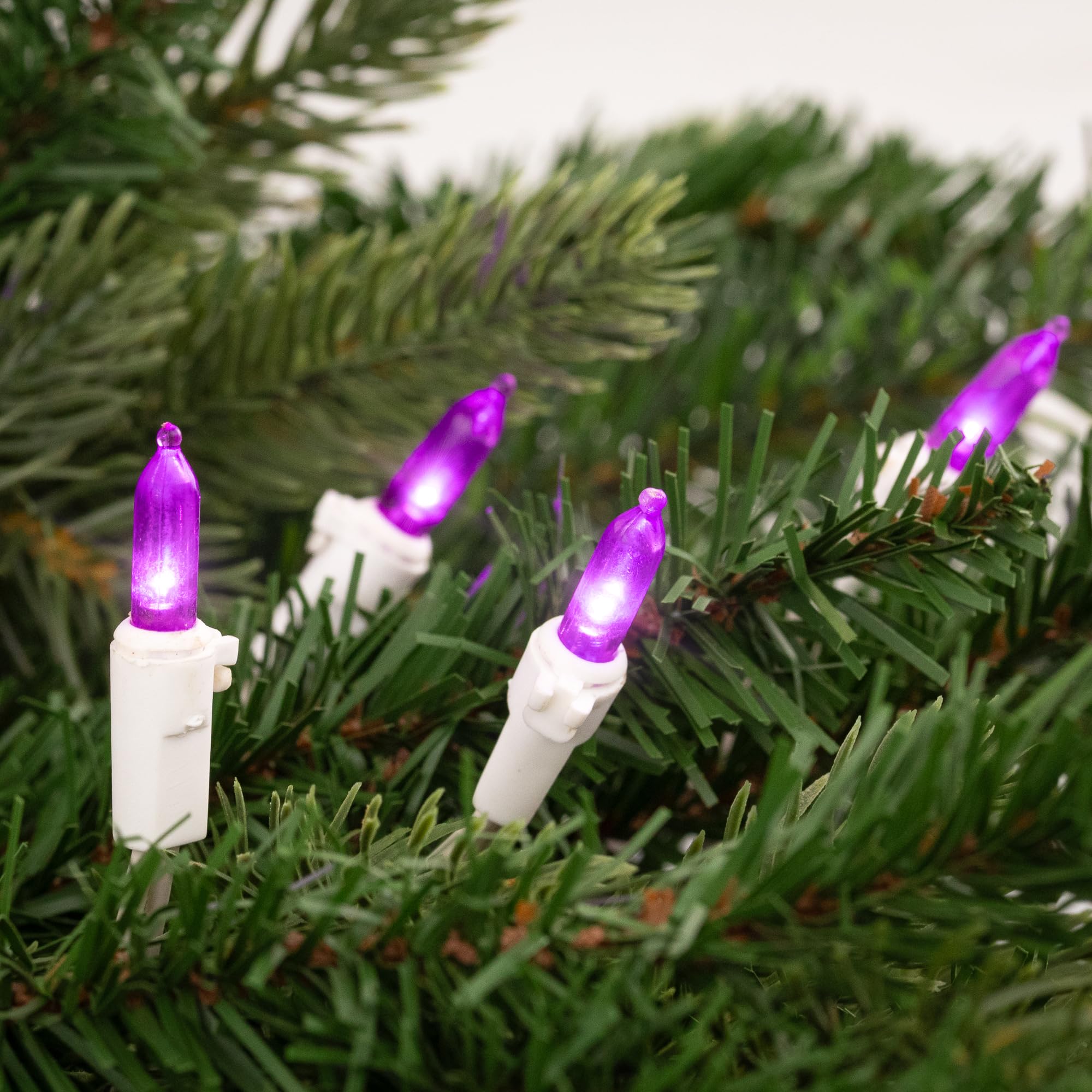 Northlight 50-Count Purple LED Mini Christmas Lights, 16.25 ft, White Wire, Model NORTHLIGHT NL02532