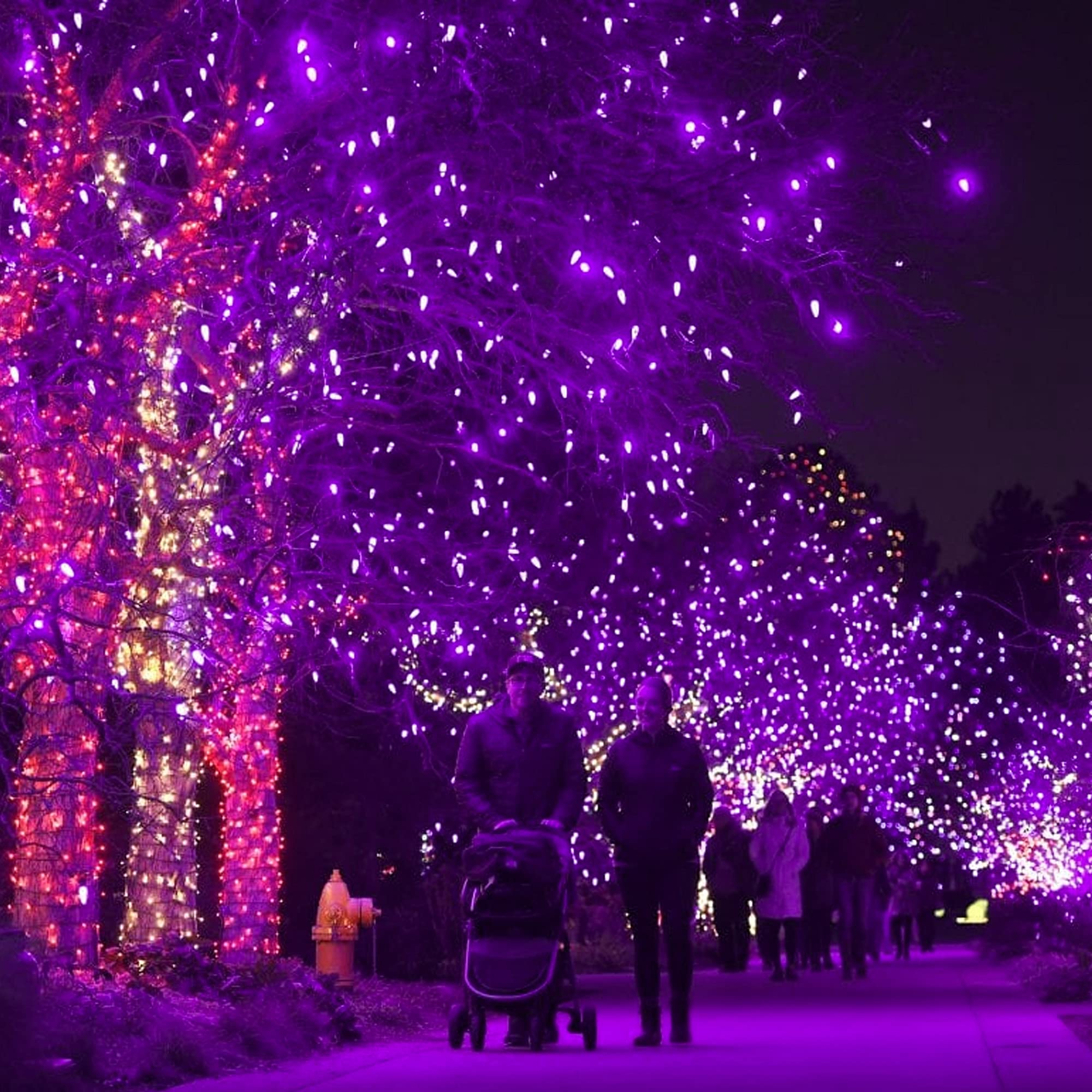 Dazzle Bright 300 LED String Lights, 100FT, Purple, 8 Lighting Modes, Connectable Halloween Decorations, Model HB-300COI