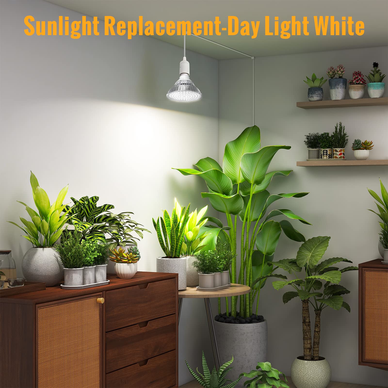 Hanging Grow Lights For Indoor Plants, 25W 5000K, Led Grow Light Bulbs, Height Adjustable Plant Light With Timer, Full Spectrum Grow Light Replace Sunlight For Succulent, Greenhouse By Speeplant