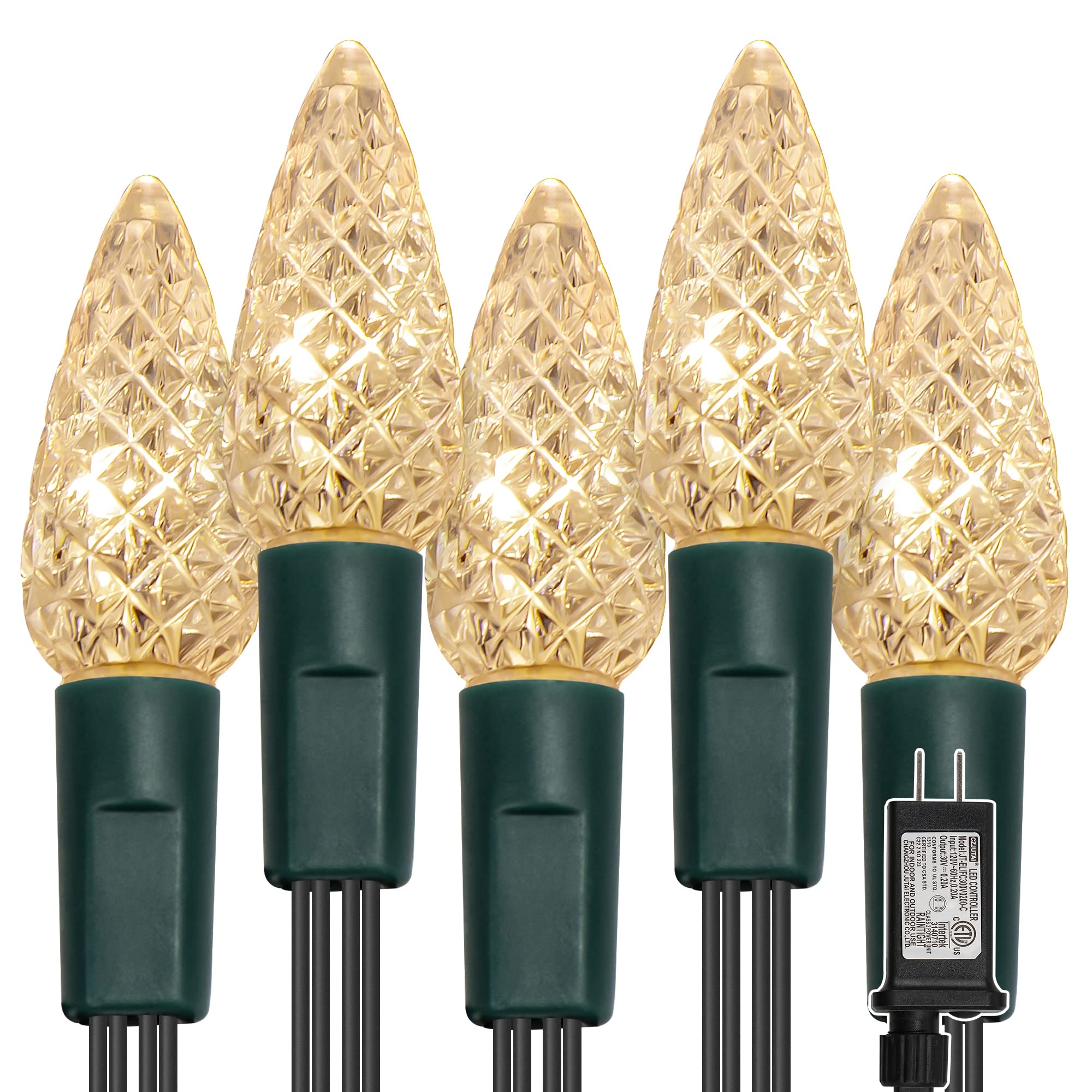 WATERGLIDE Christmas Lights 33ft 100 LED Warm White Faceted String Lights Green Wire Waterproof 8 Lighting Modes Indoor Outdoor