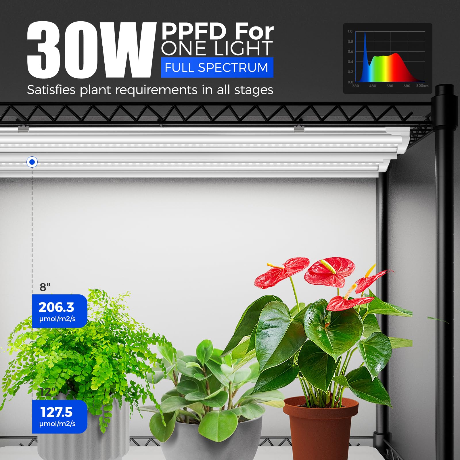 Barrina CX5Z Indoor Greenhouse with Grow Light, 6PCS 30W T8, 4-Tier Metal Stand, 35.4x13.8x59IN, Full